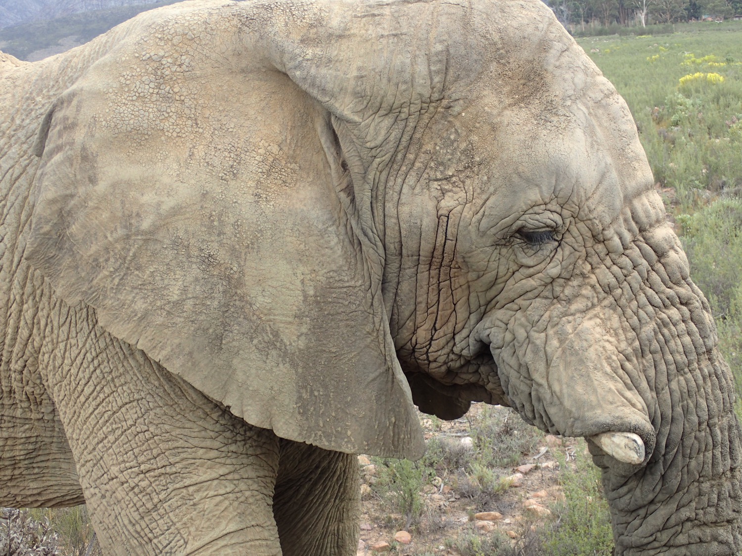 placeholder image-sq