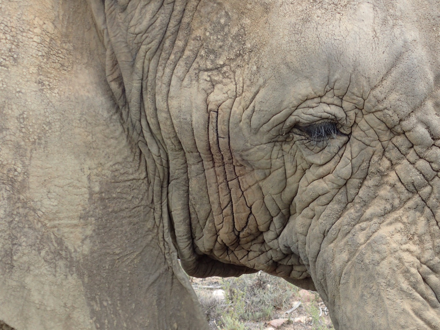 placeholder image-sq