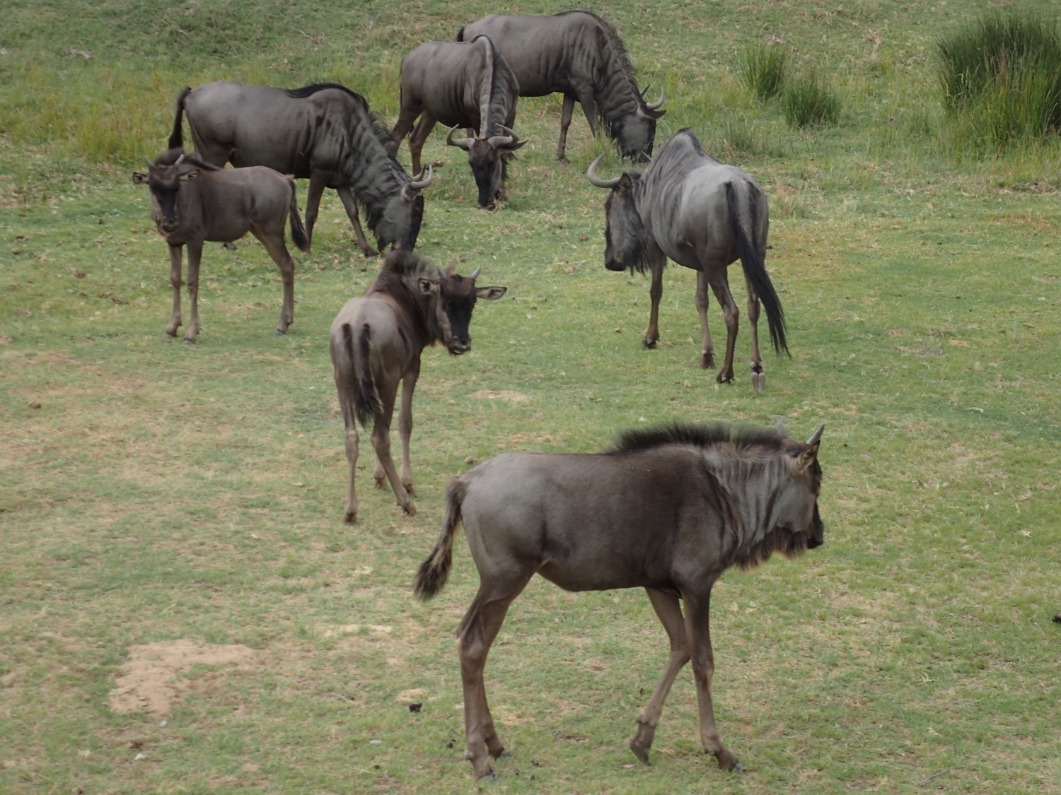 placeholder image-sq