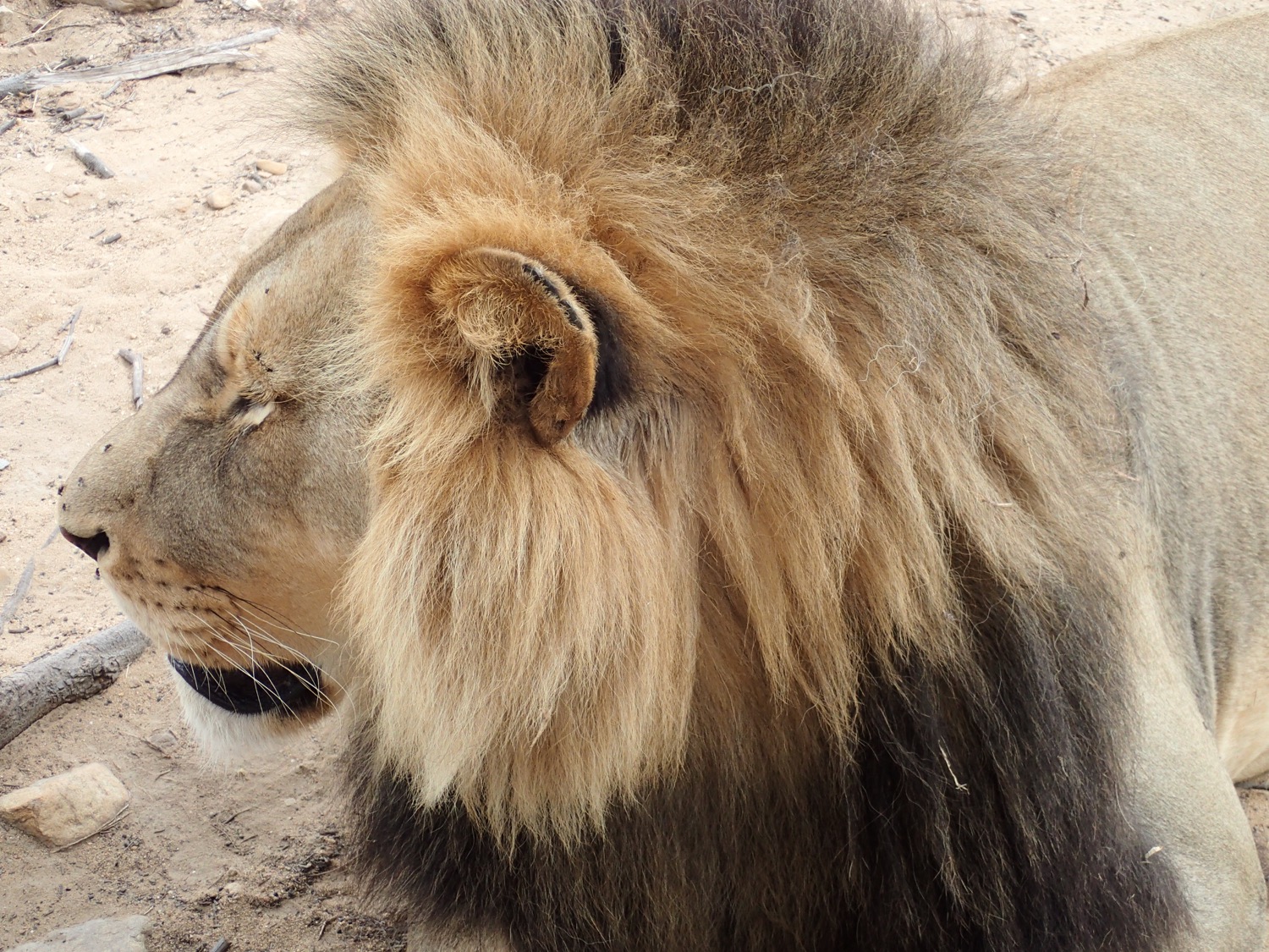 placeholder image-sq