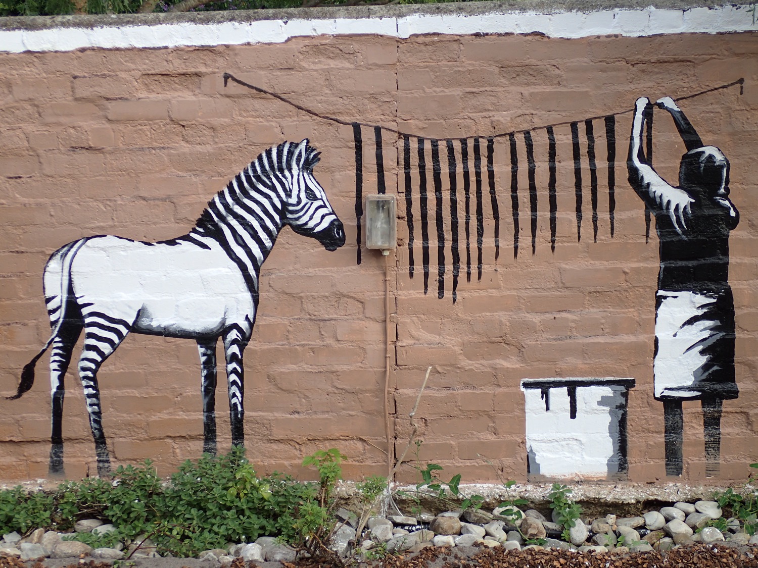 placeholder image-sq