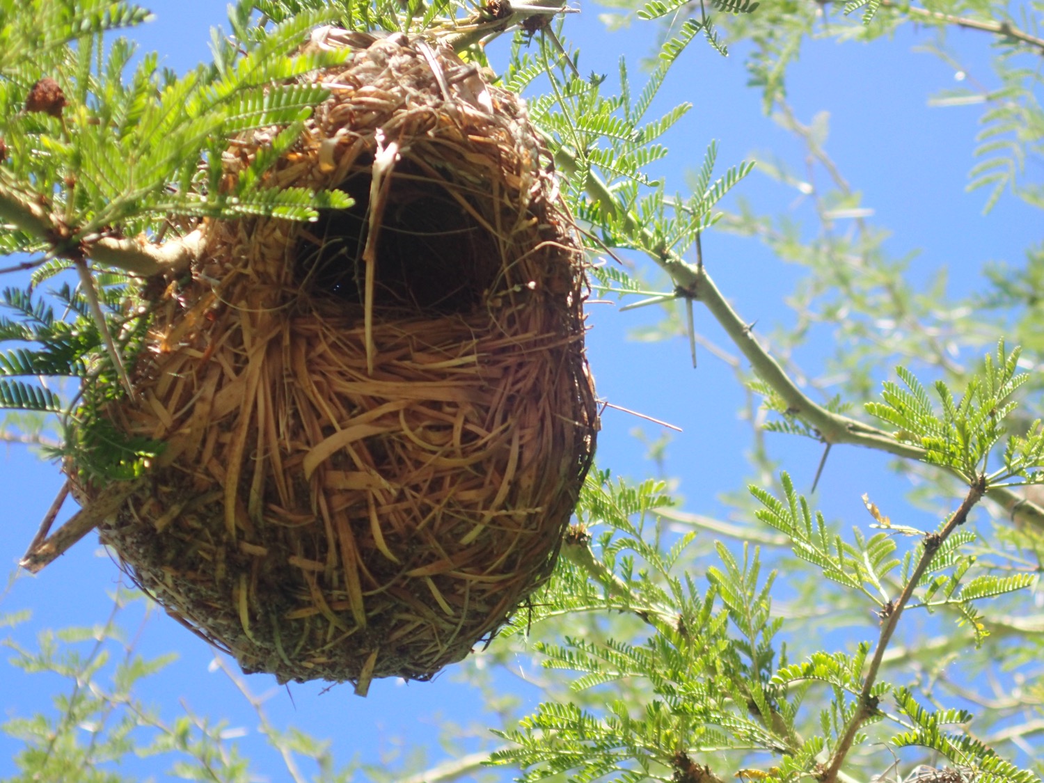 placeholder image-sq