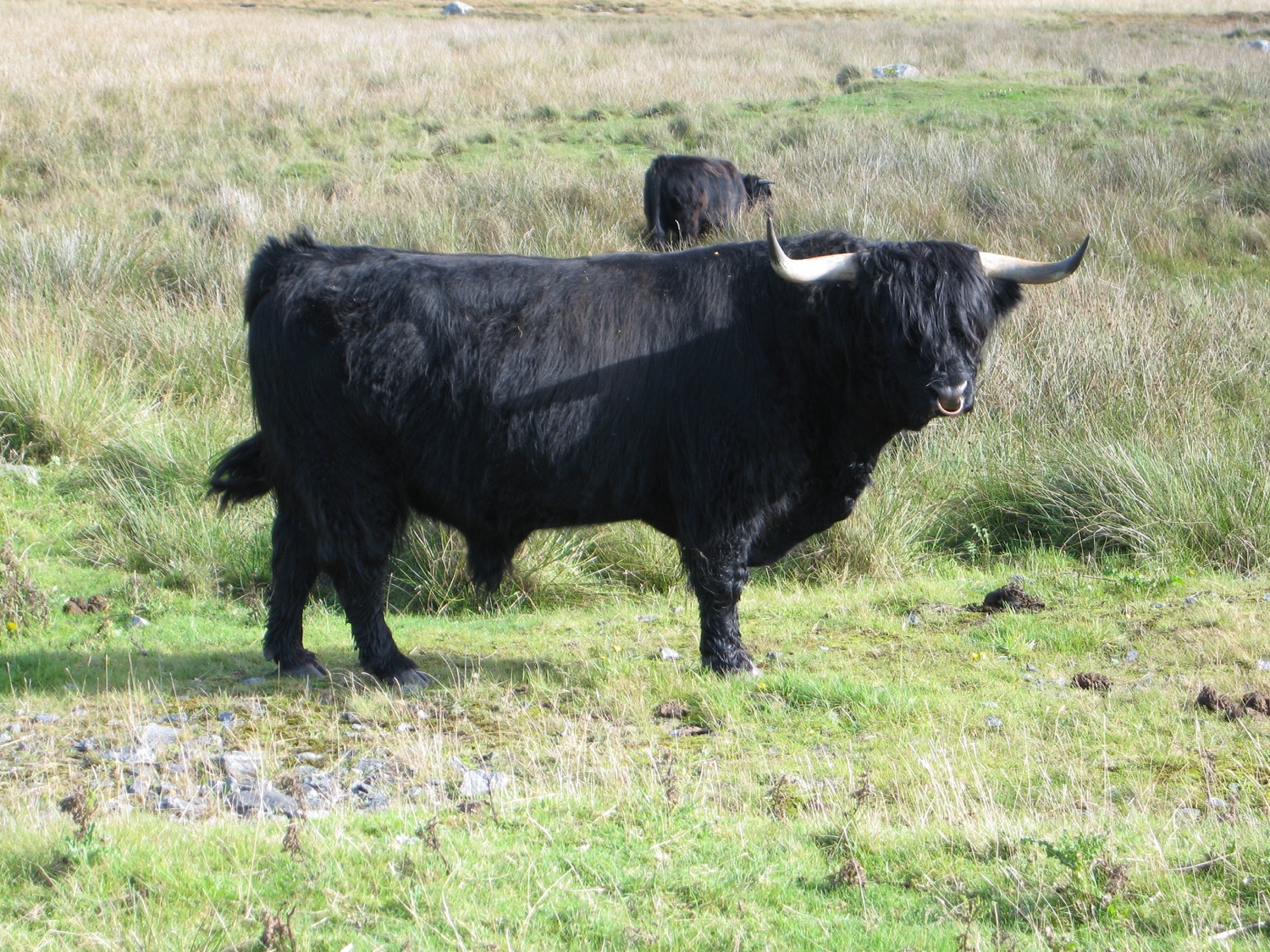 placeholder image-sq