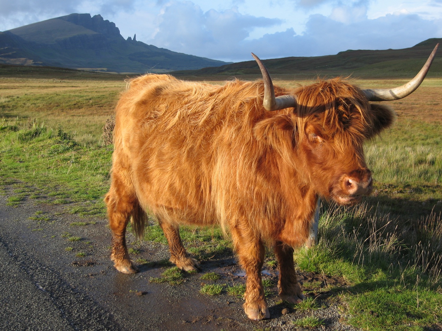 placeholder image-sq