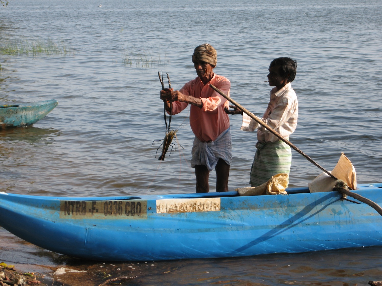 placeholder image-sq