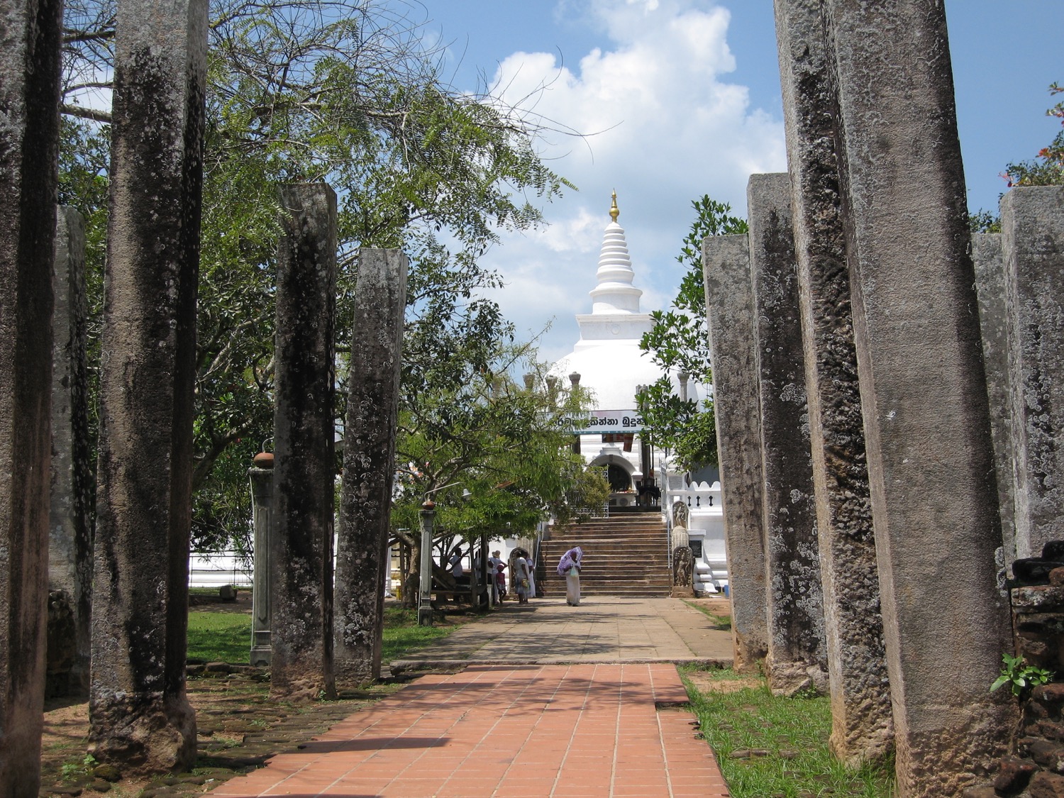 placeholder image-sq