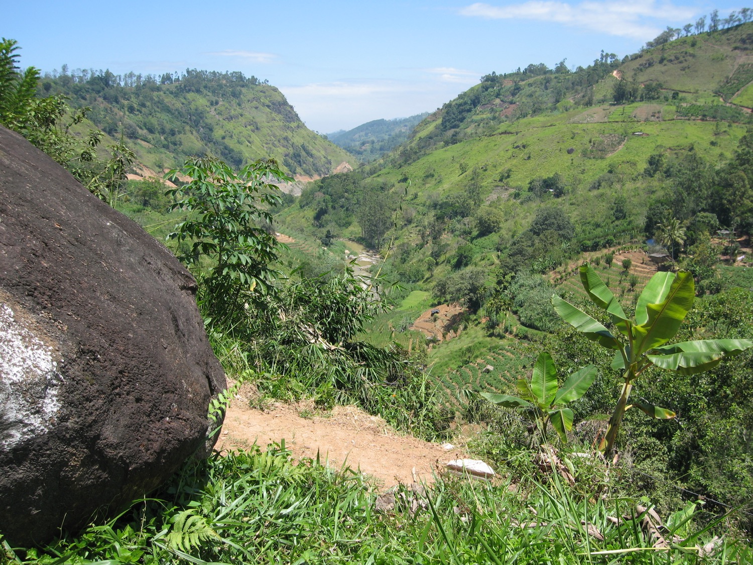 placeholder image-sq