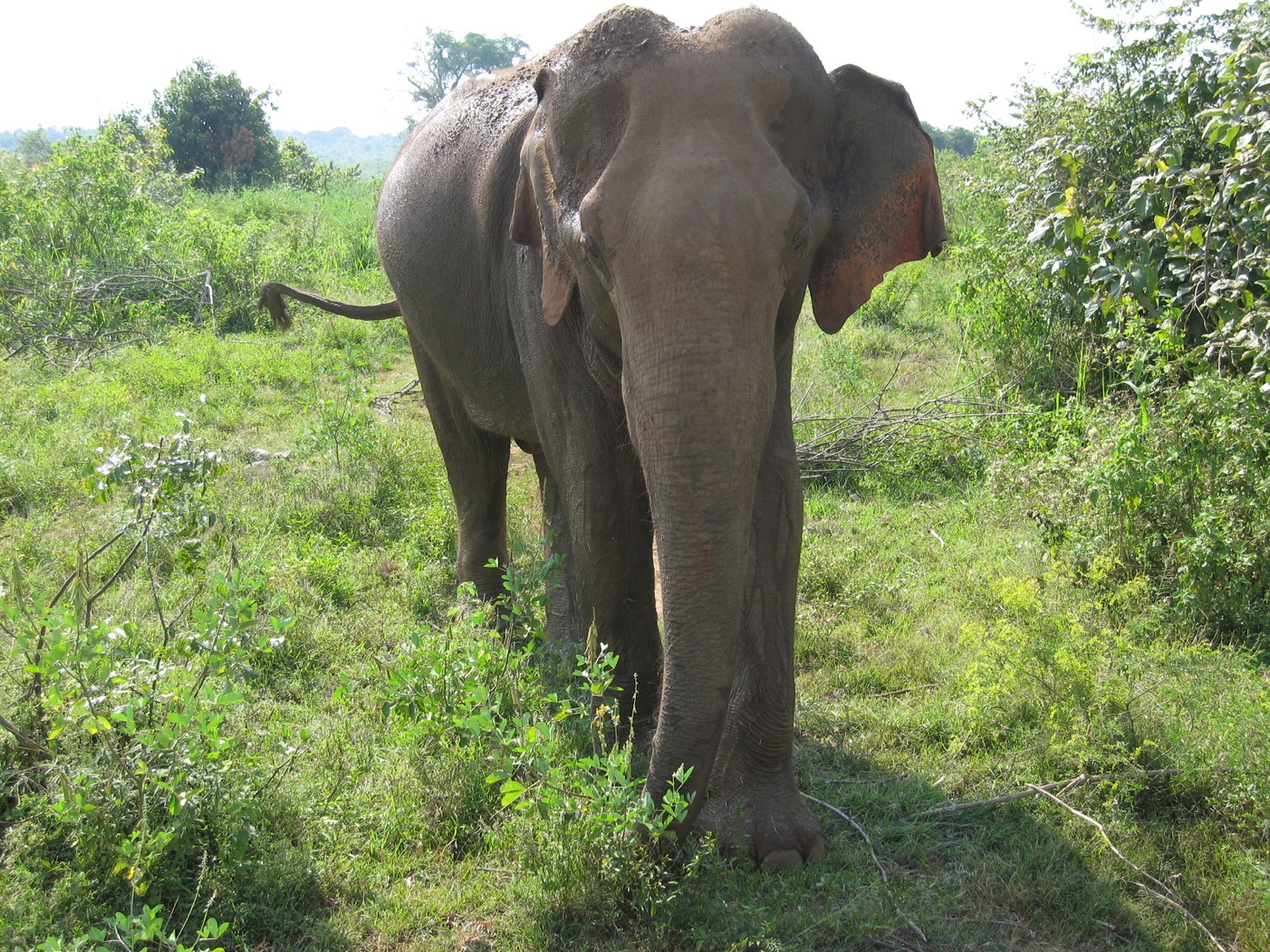 placeholder image-sq