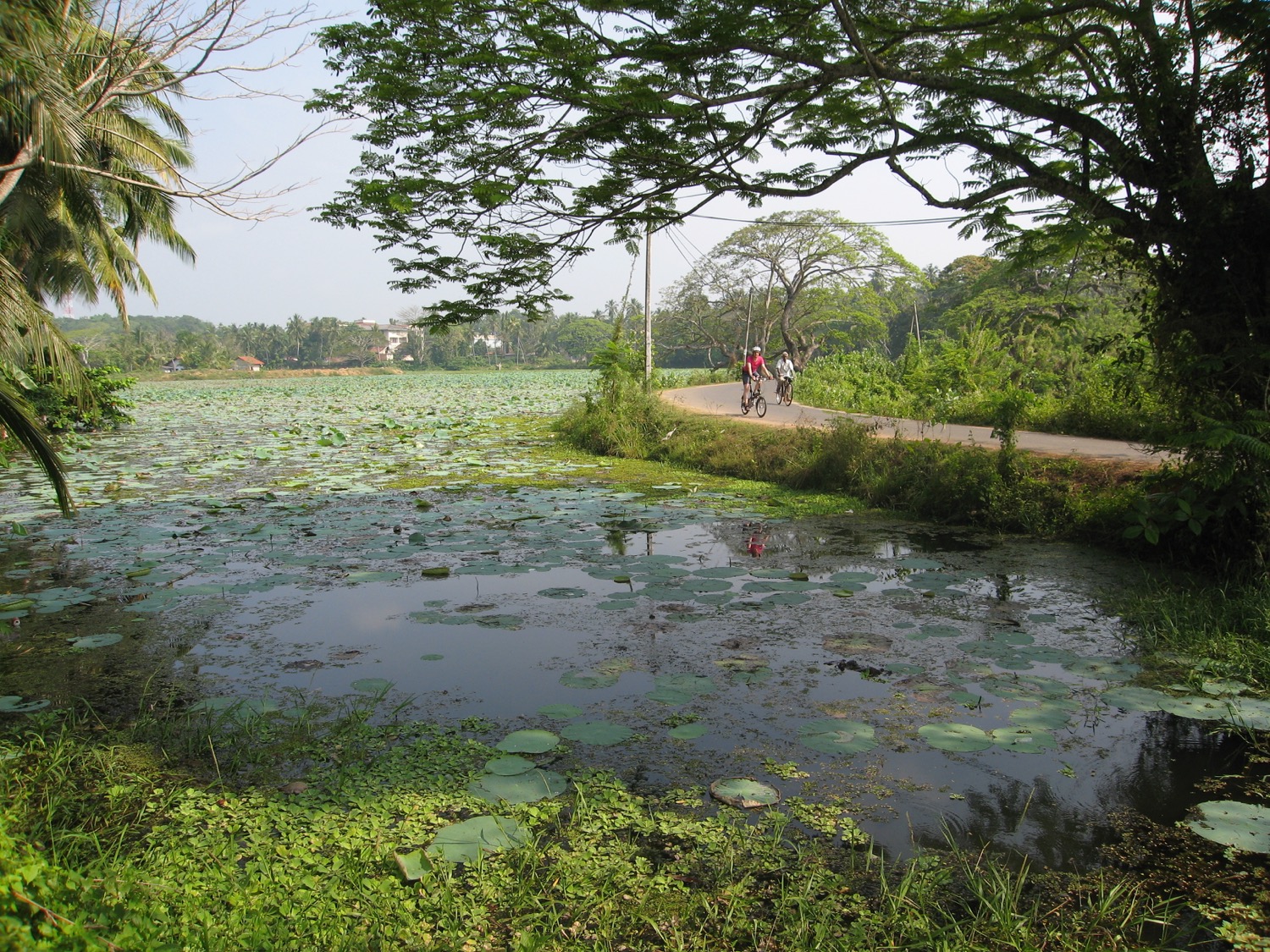 placeholder image-sq