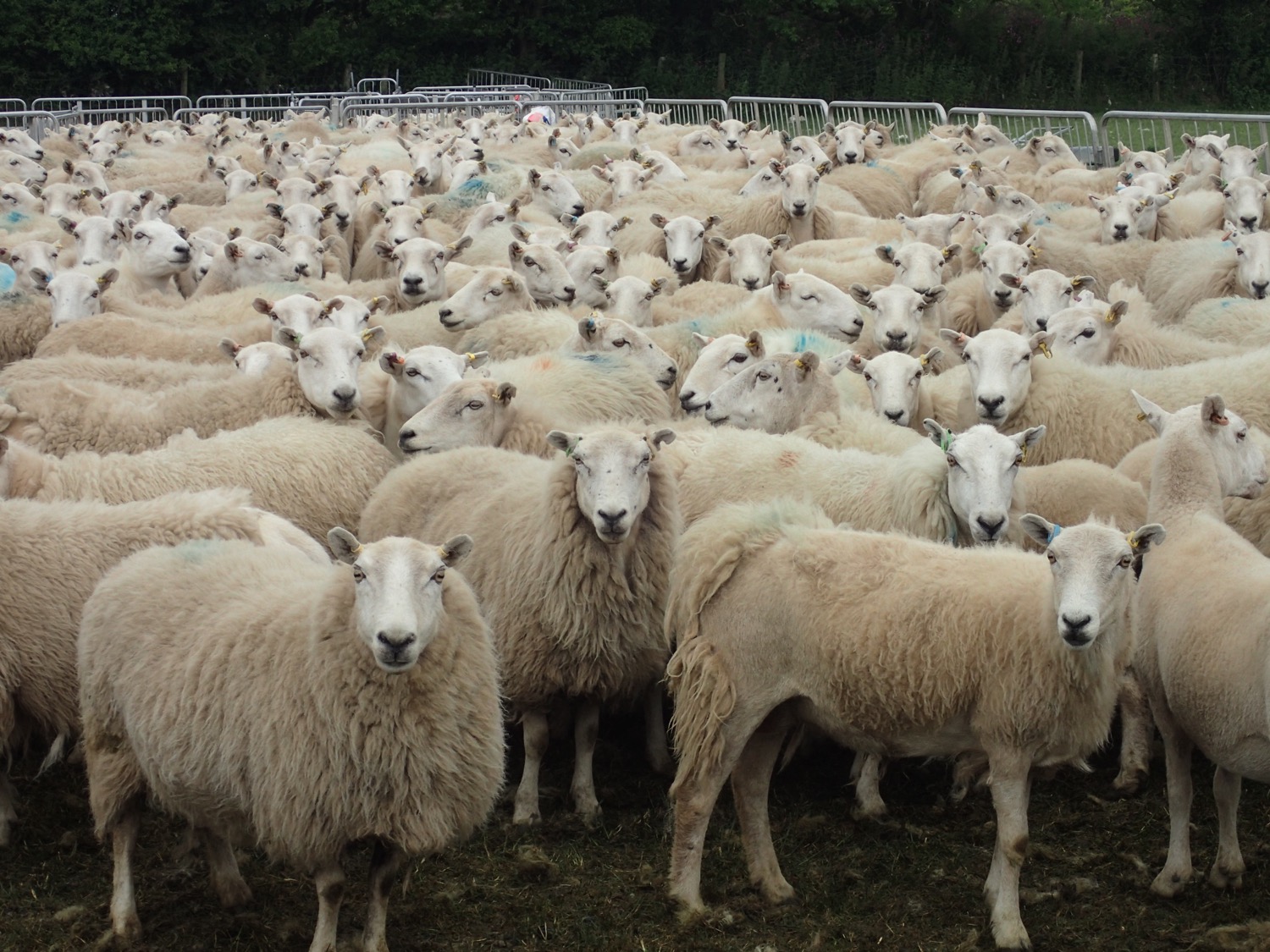 placeholder image-sq