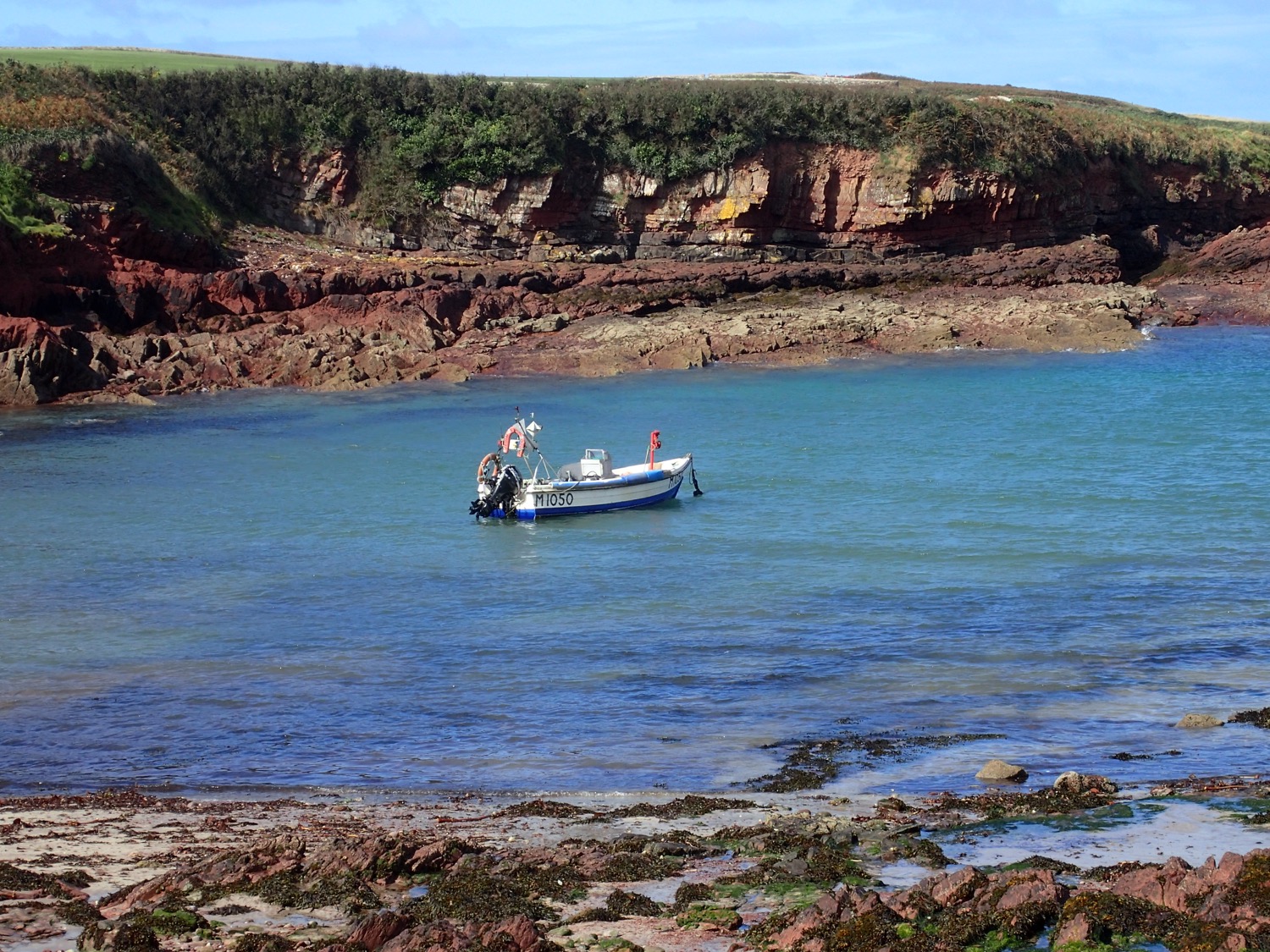 placeholder image-sq