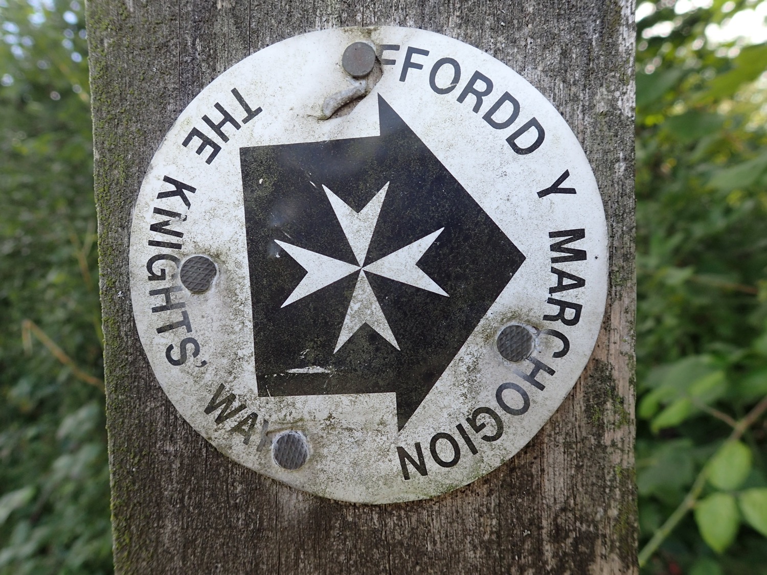 placeholder image-sq