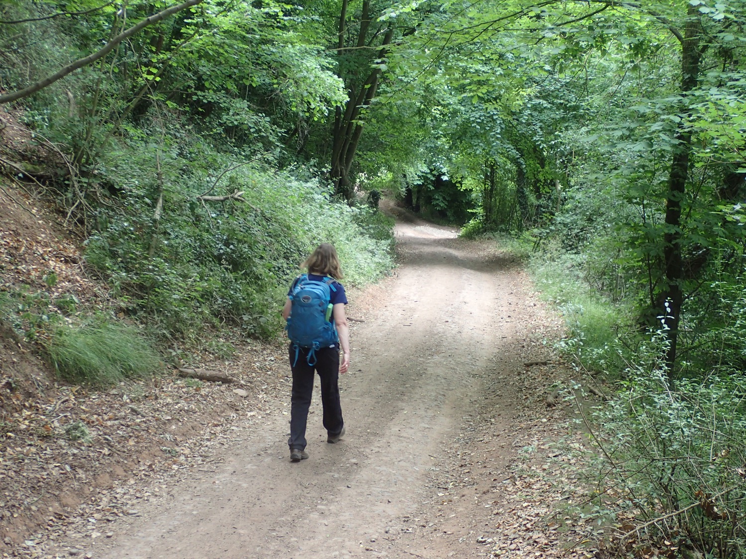 placeholder image-sq