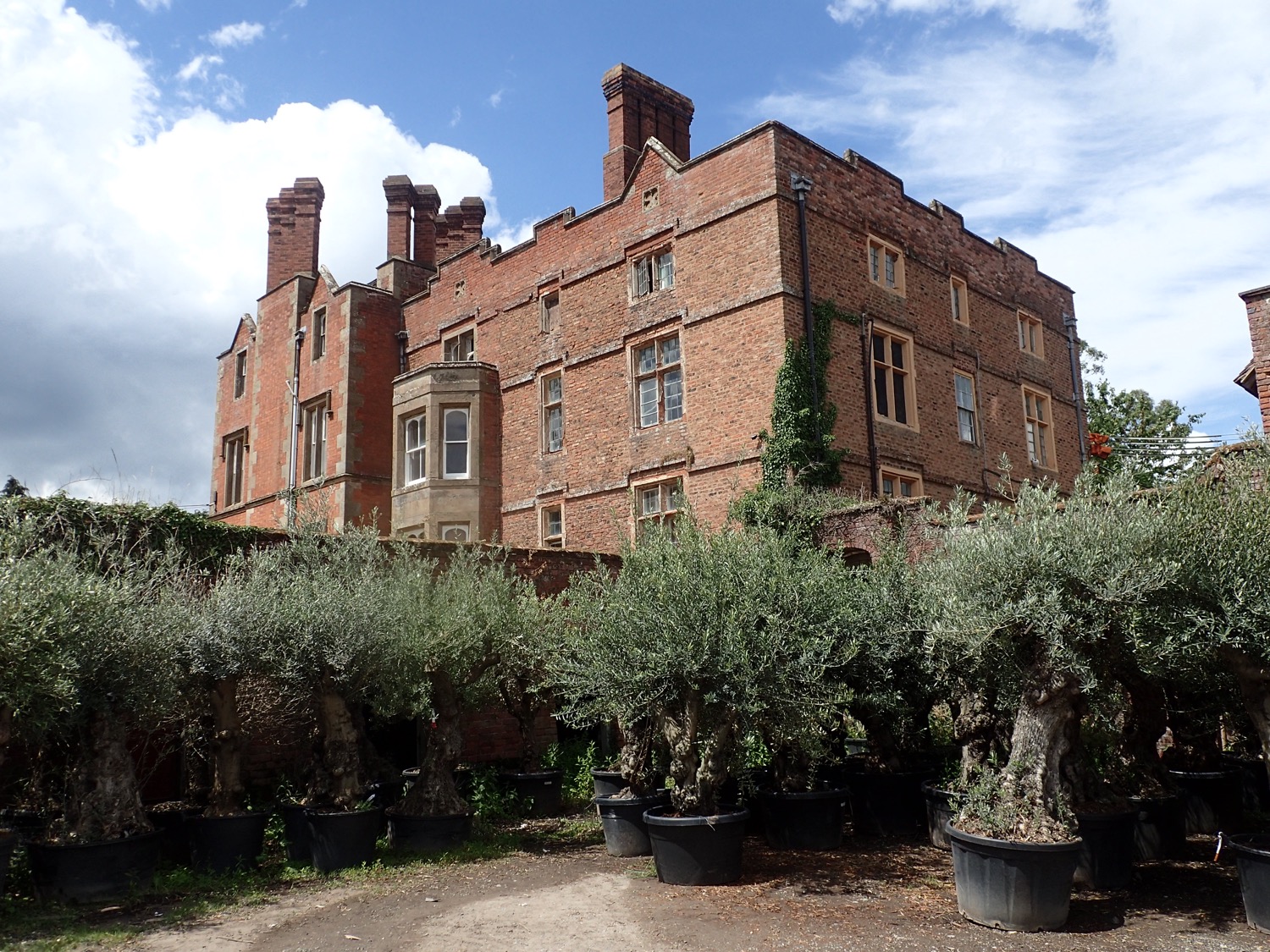 placeholder image-sq