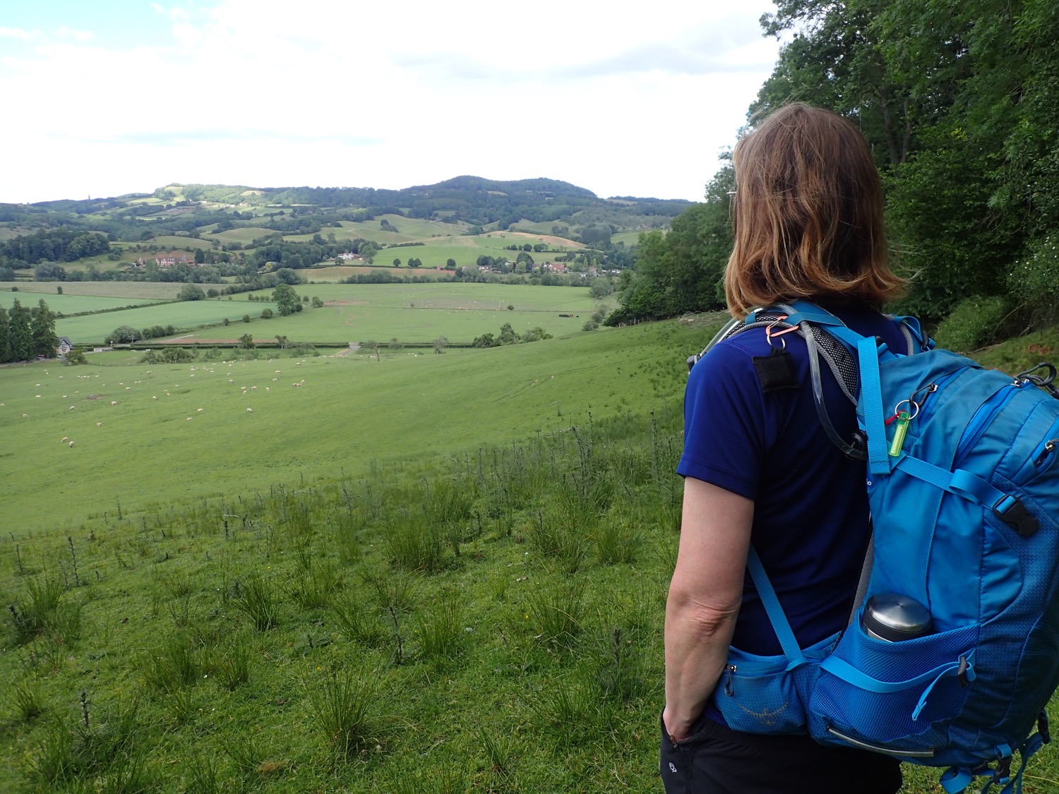 placeholder image-sq