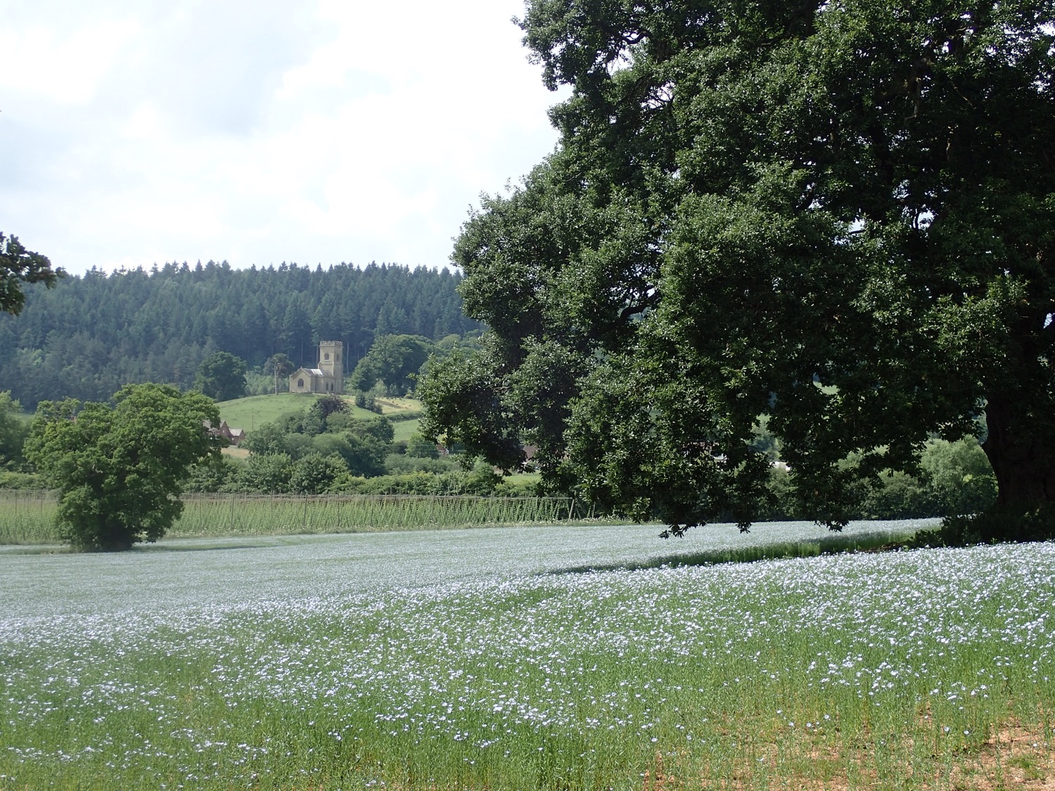 placeholder image-sq