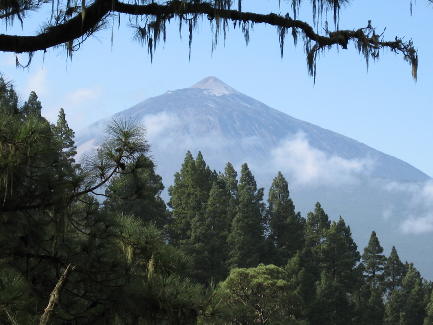 placeholder image-sq