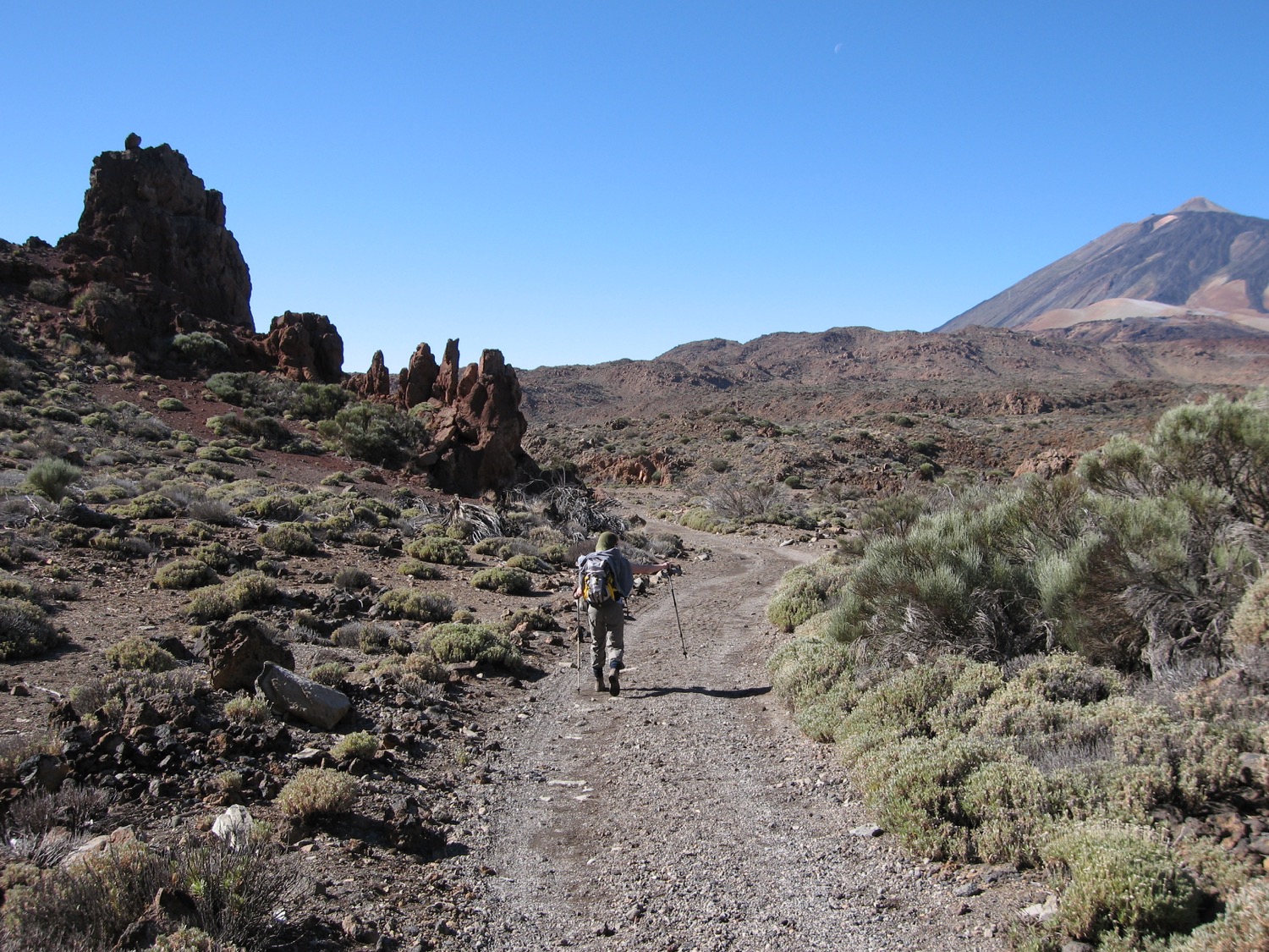 placeholder image-sq