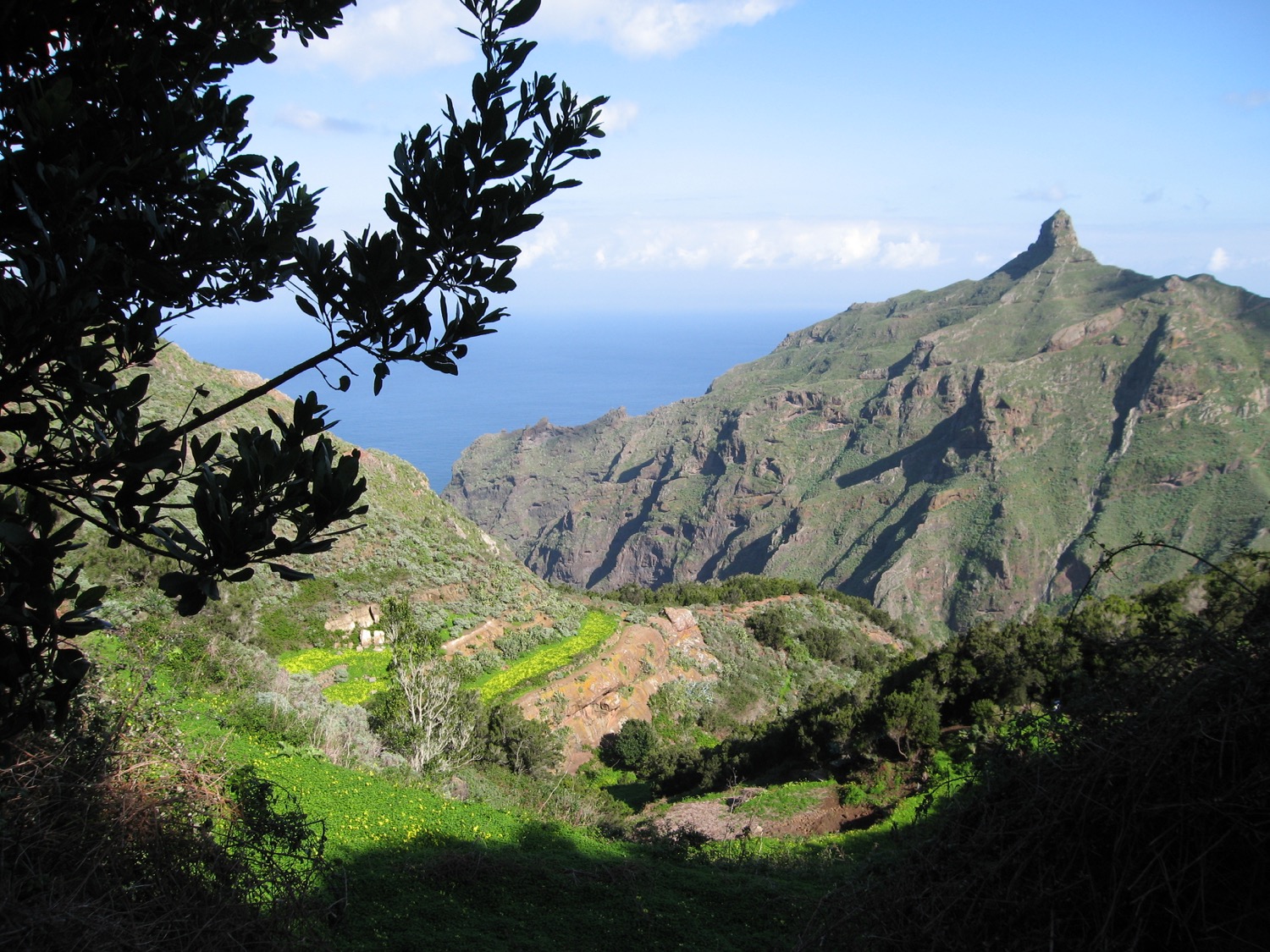 placeholder image-sq