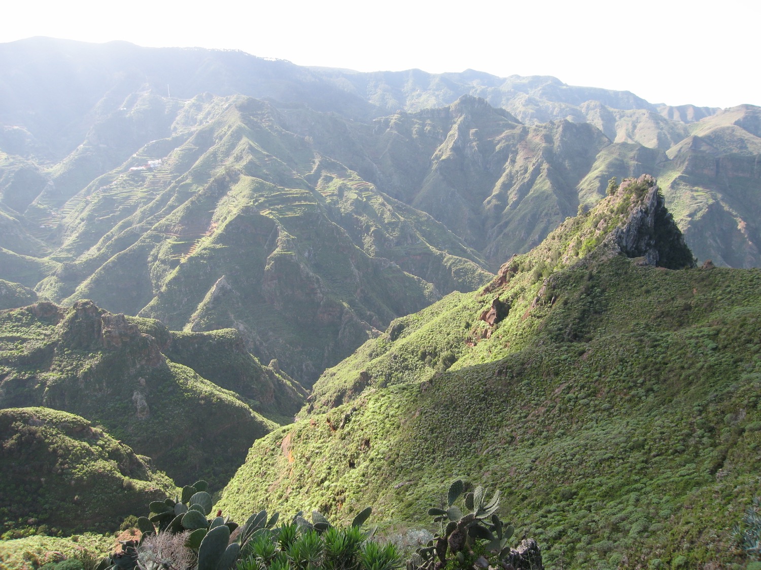 placeholder image-sq