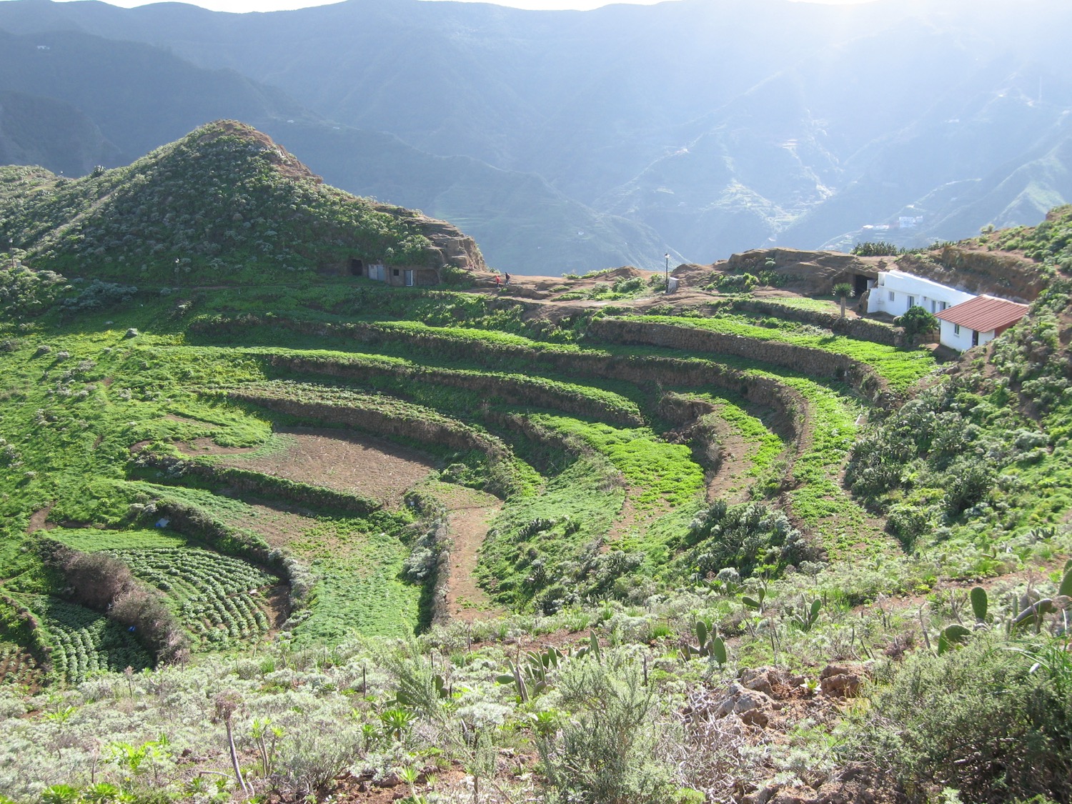 placeholder image-sq