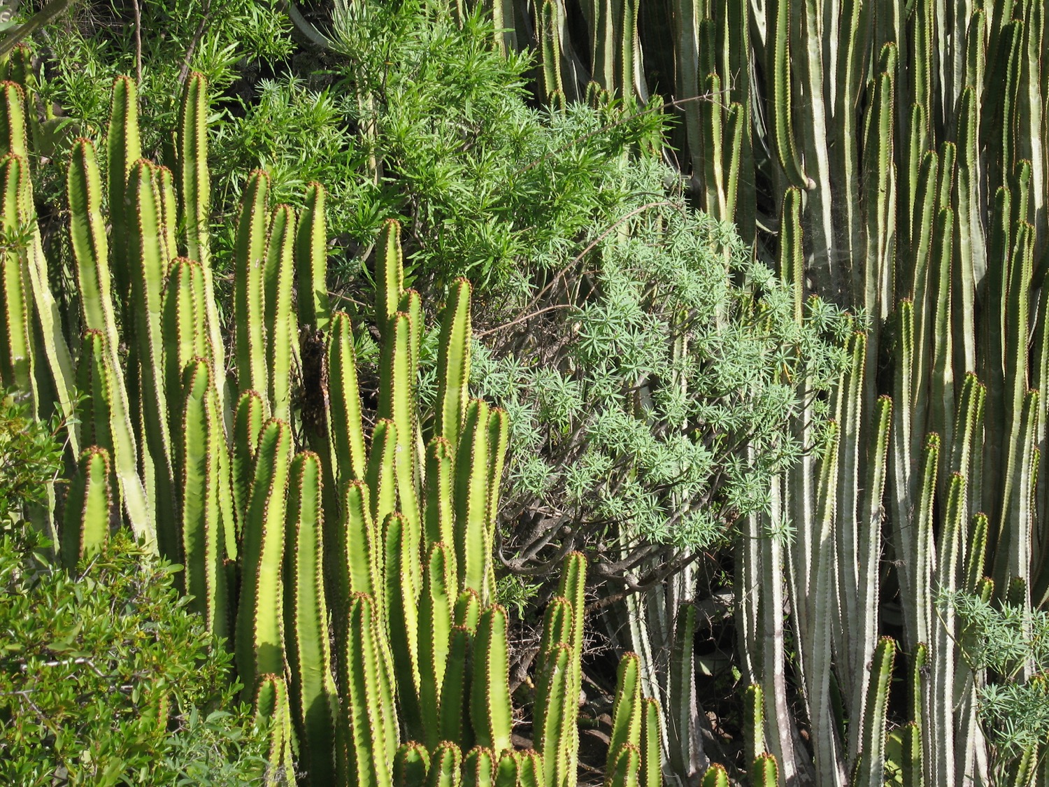 placeholder image-sq