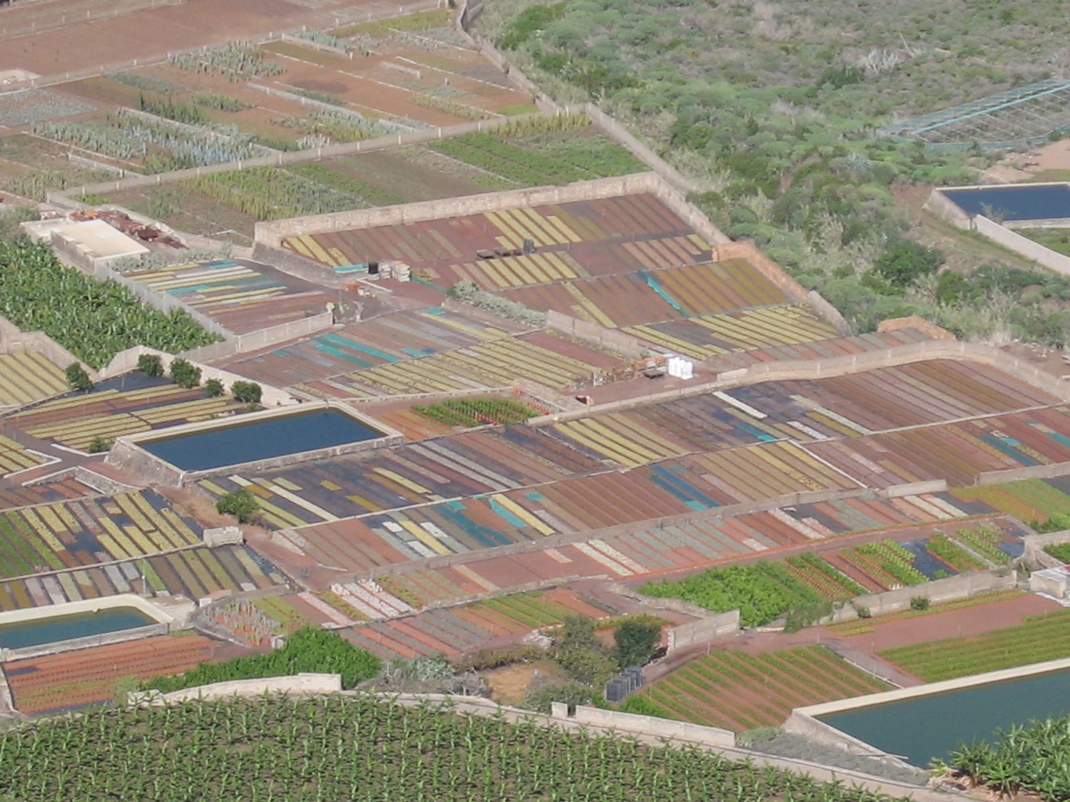 placeholder image-sq