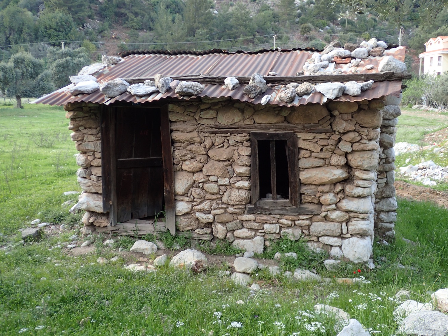 placeholder image-sq