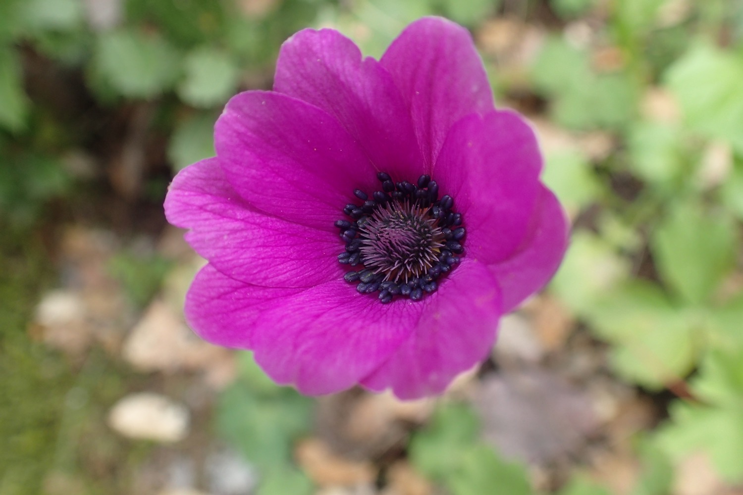 placeholder image-sq