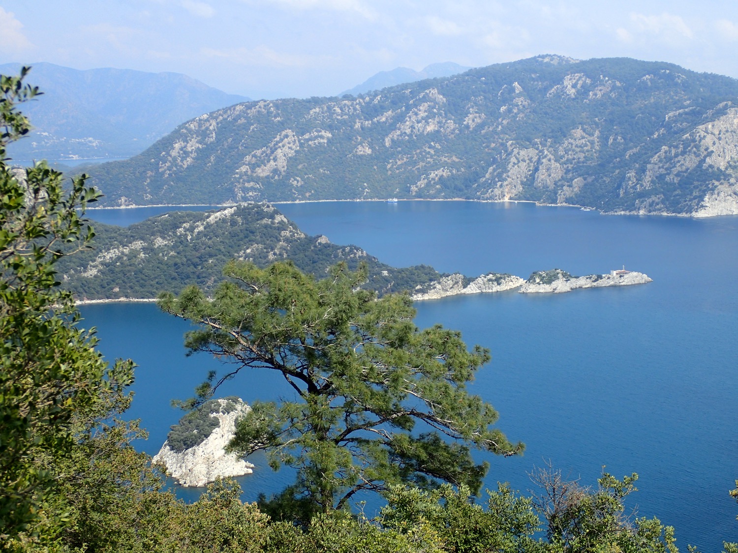 placeholder image-sq