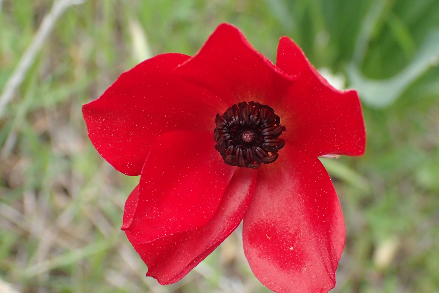 placeholder image-sq