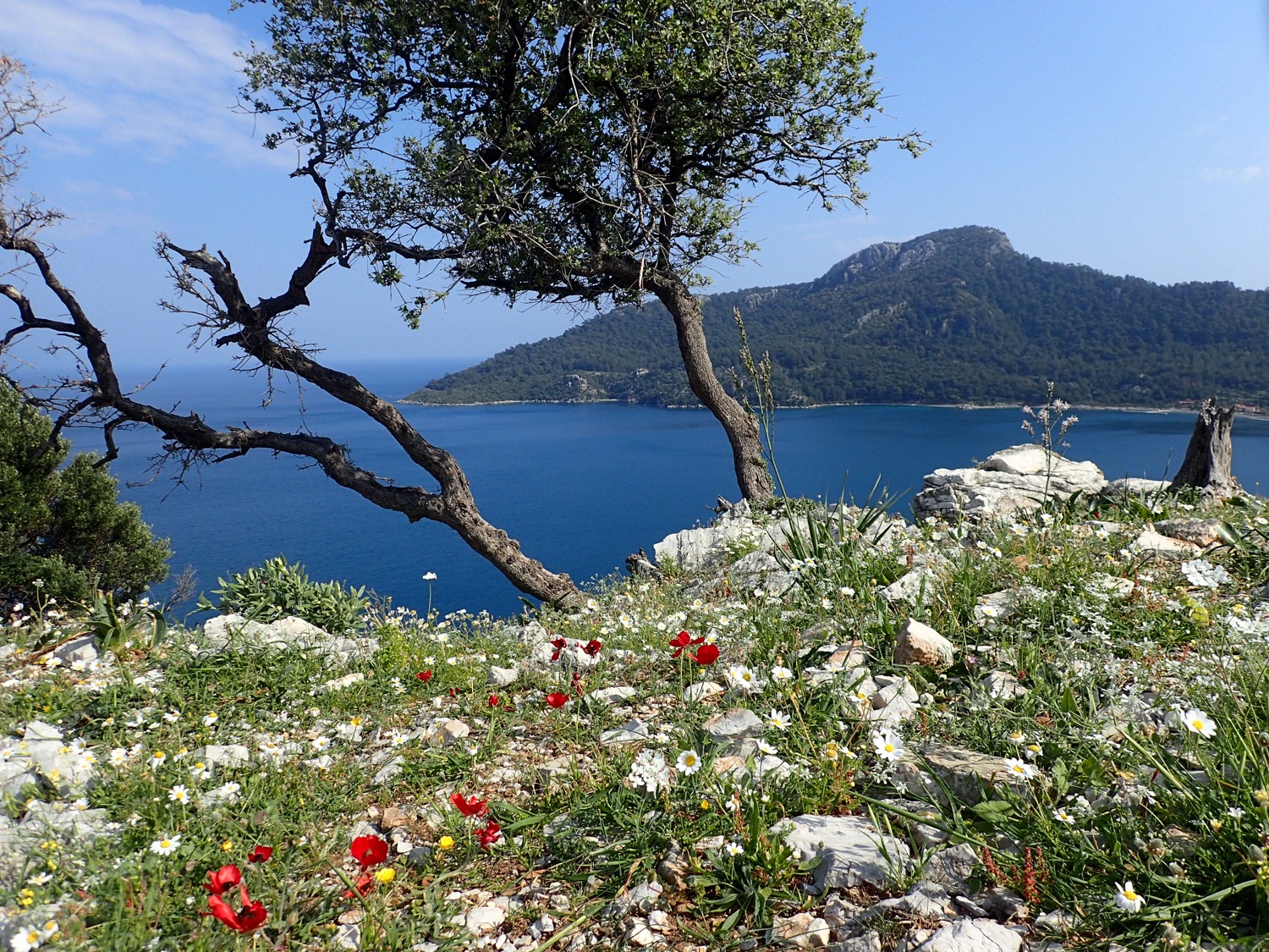 placeholder image-sq