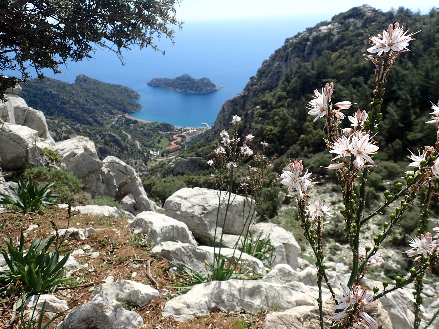 placeholder image-sq