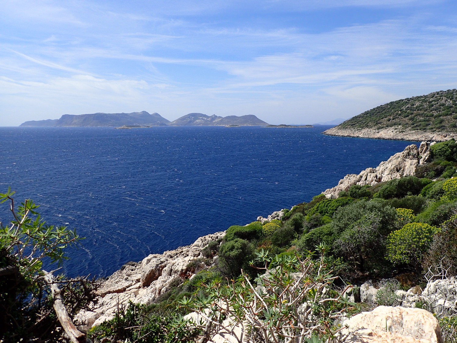 placeholder image-sq