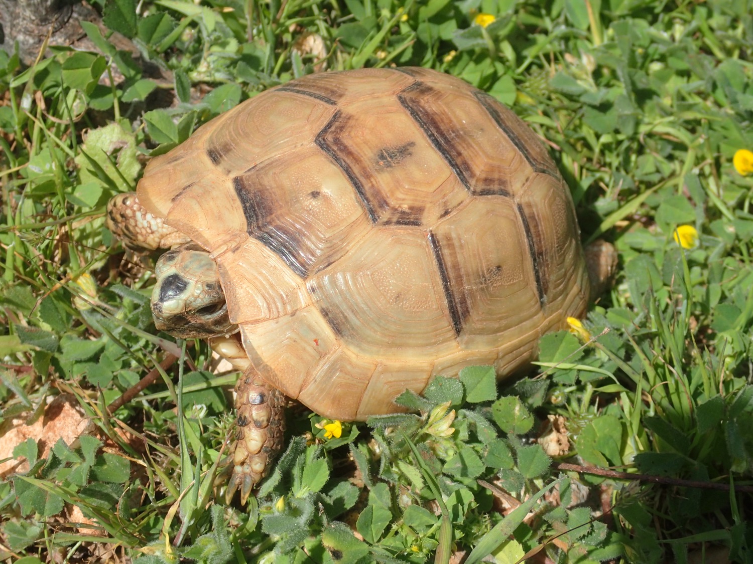 placeholder image-sq