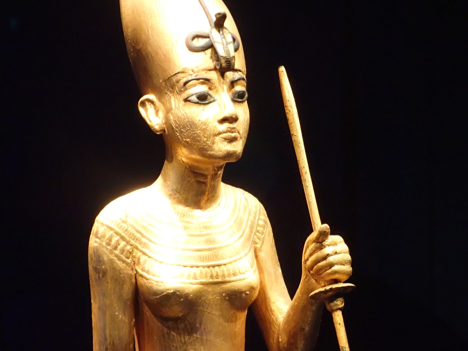 placeholder image-sq