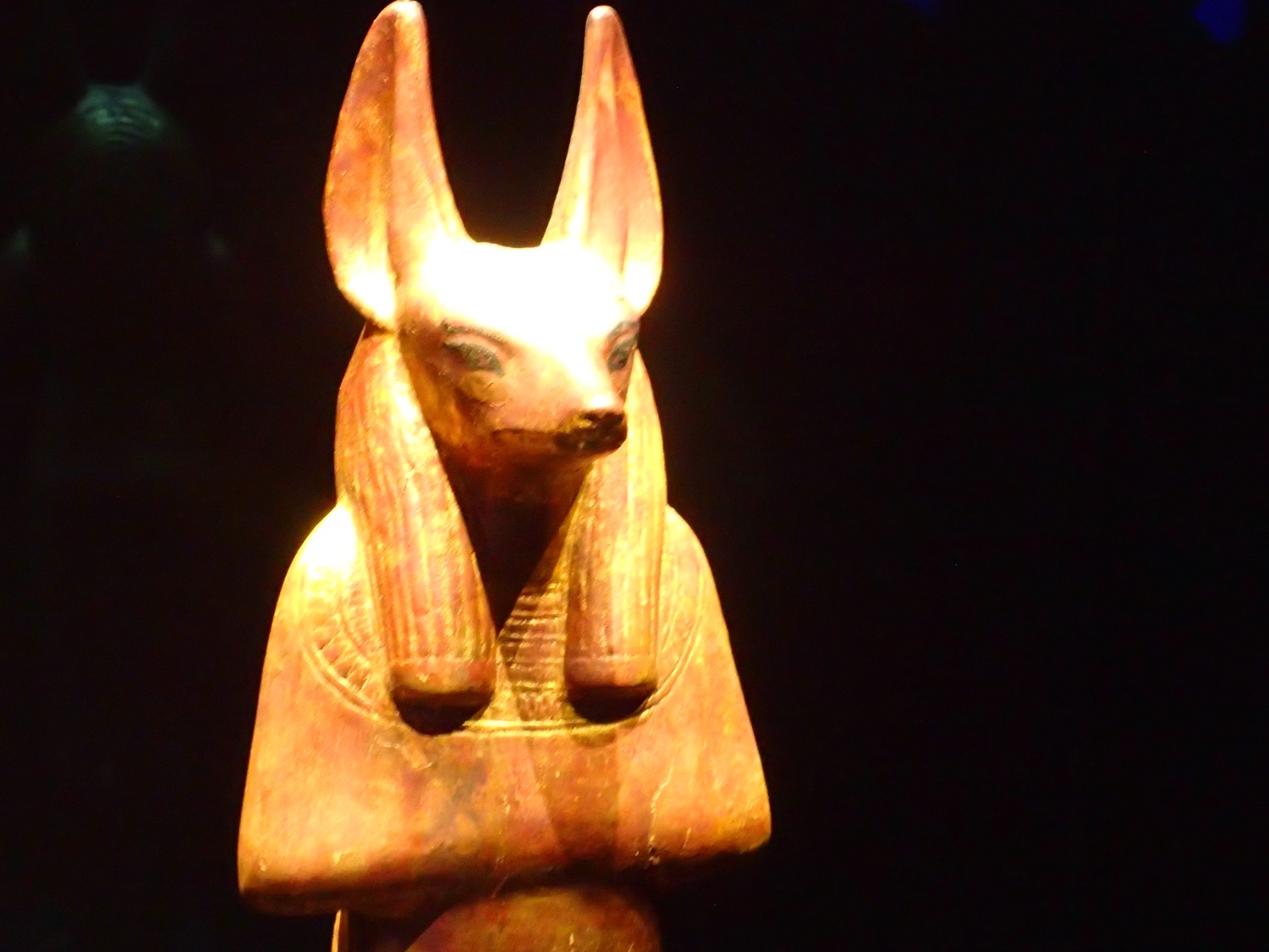 placeholder image-sq