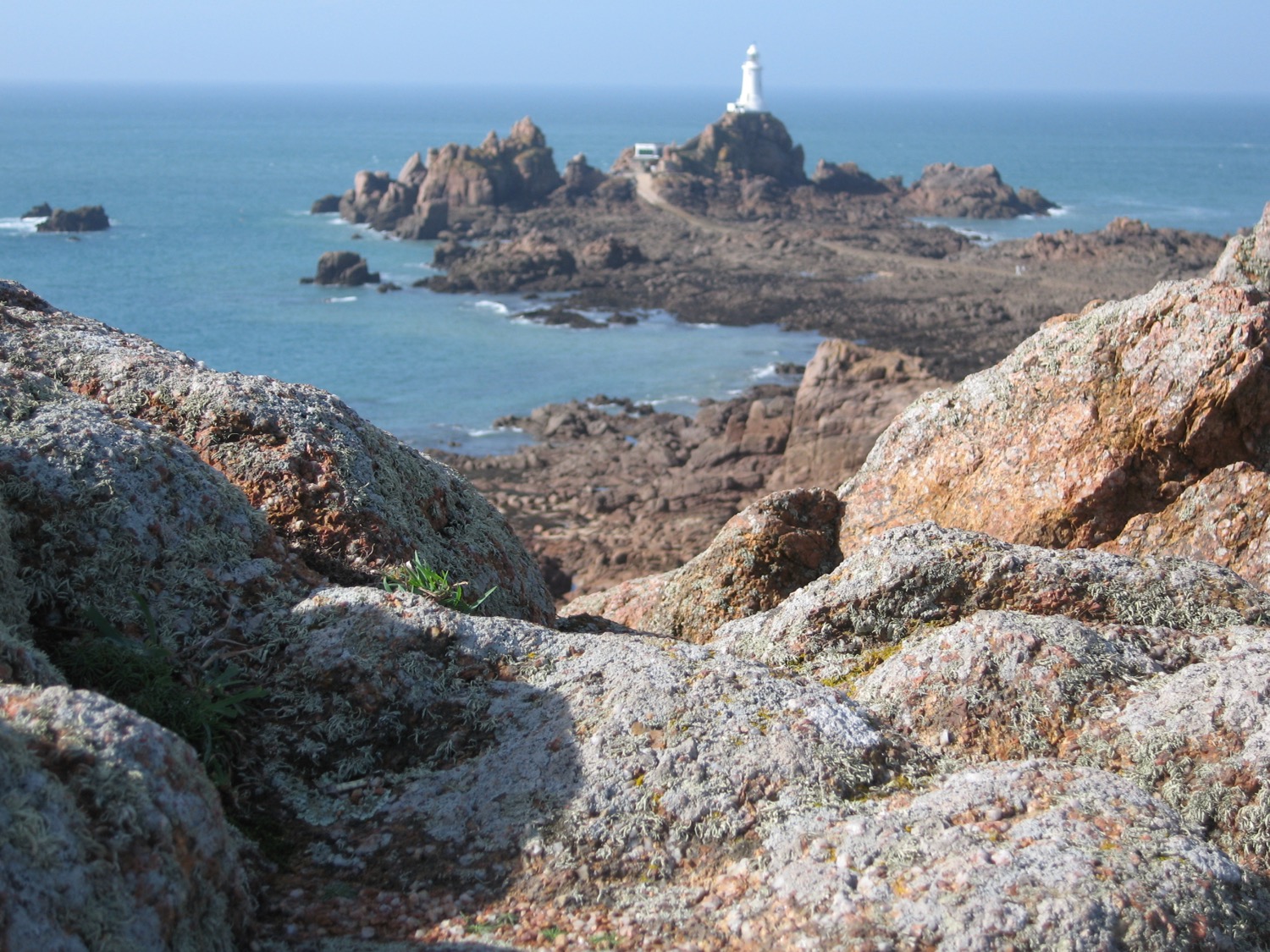 placeholder image-sq