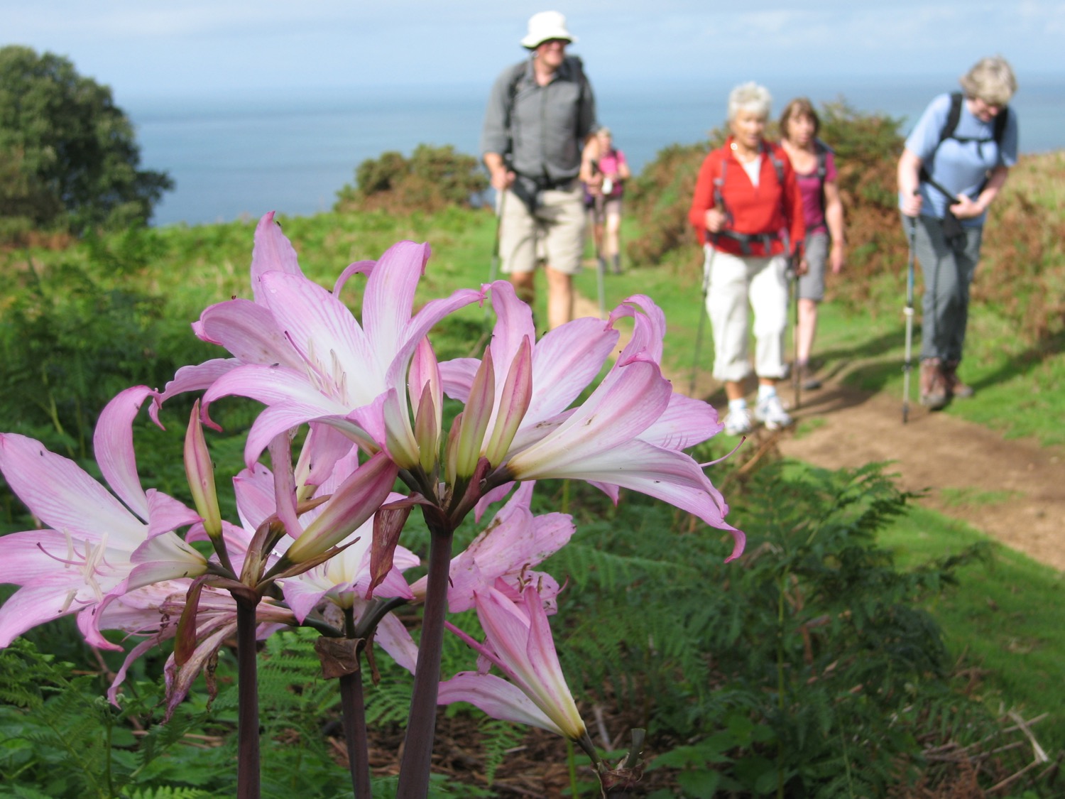 placeholder image-sq