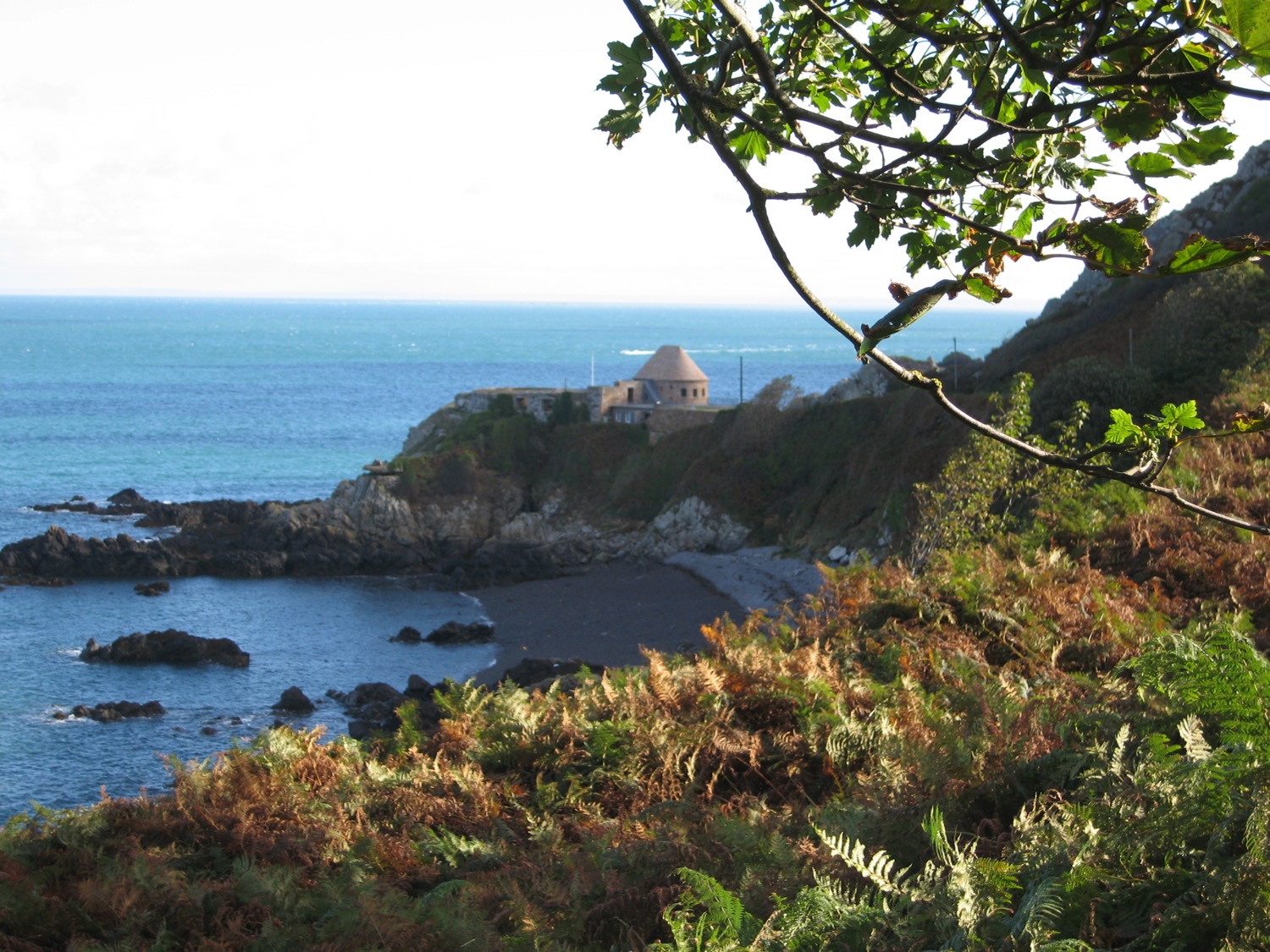 placeholder image-sq