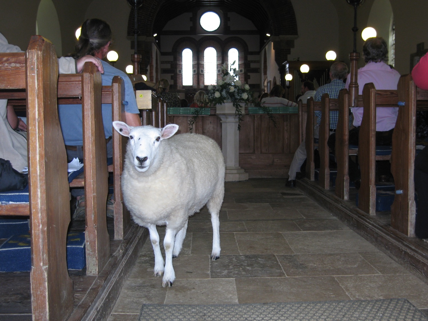 placeholder image-sq