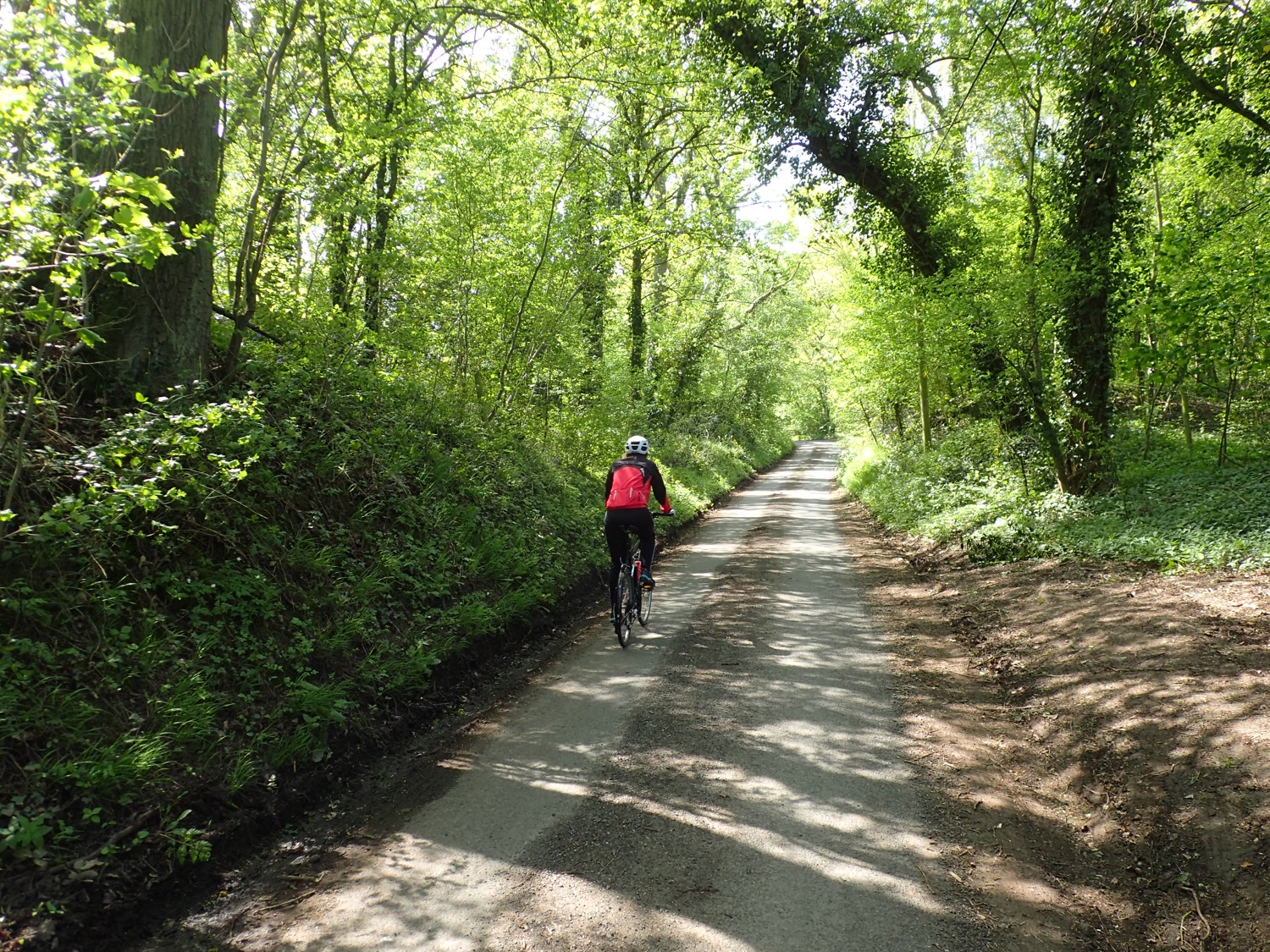 placeholder image-sq