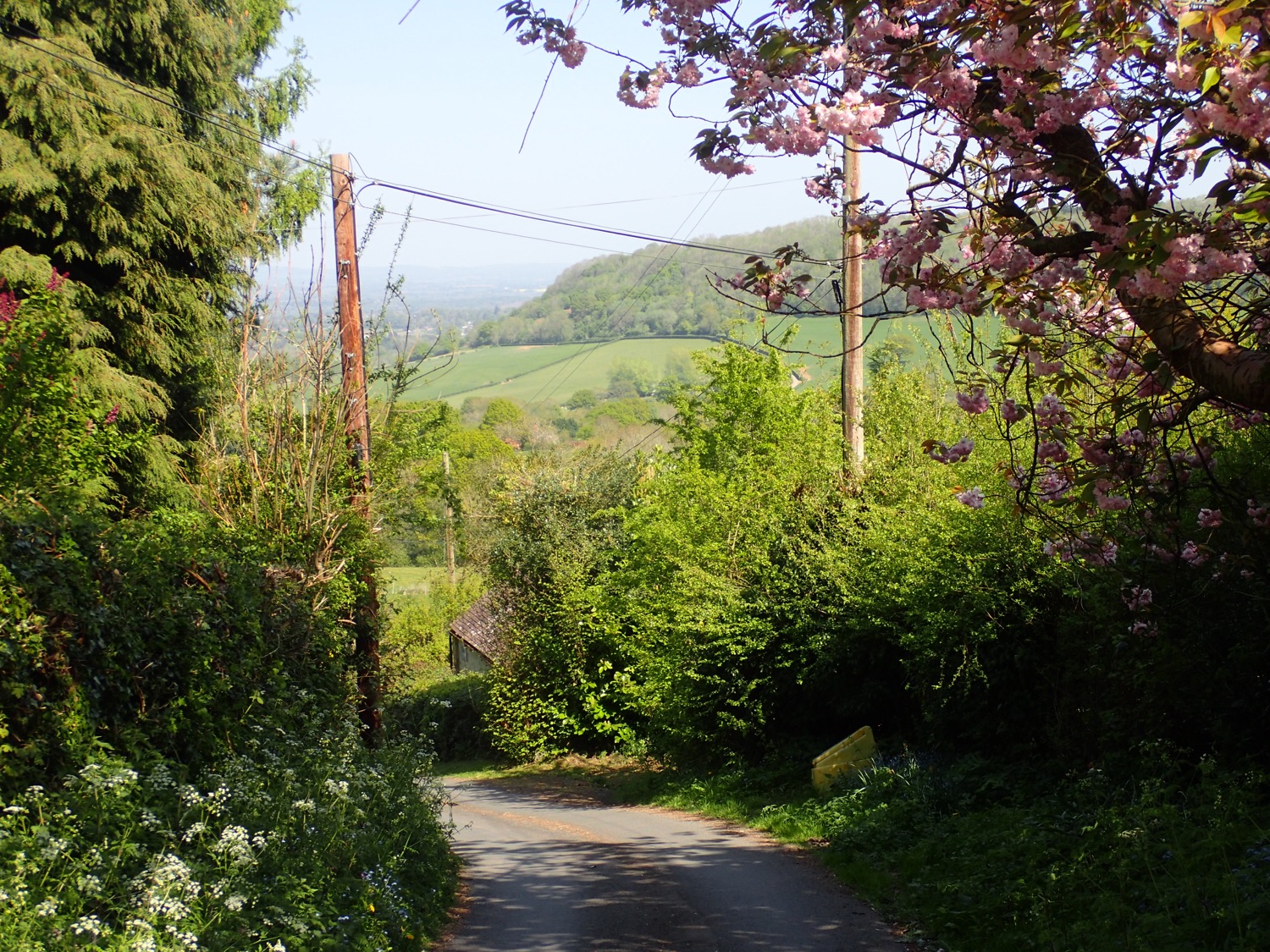 placeholder image-sq