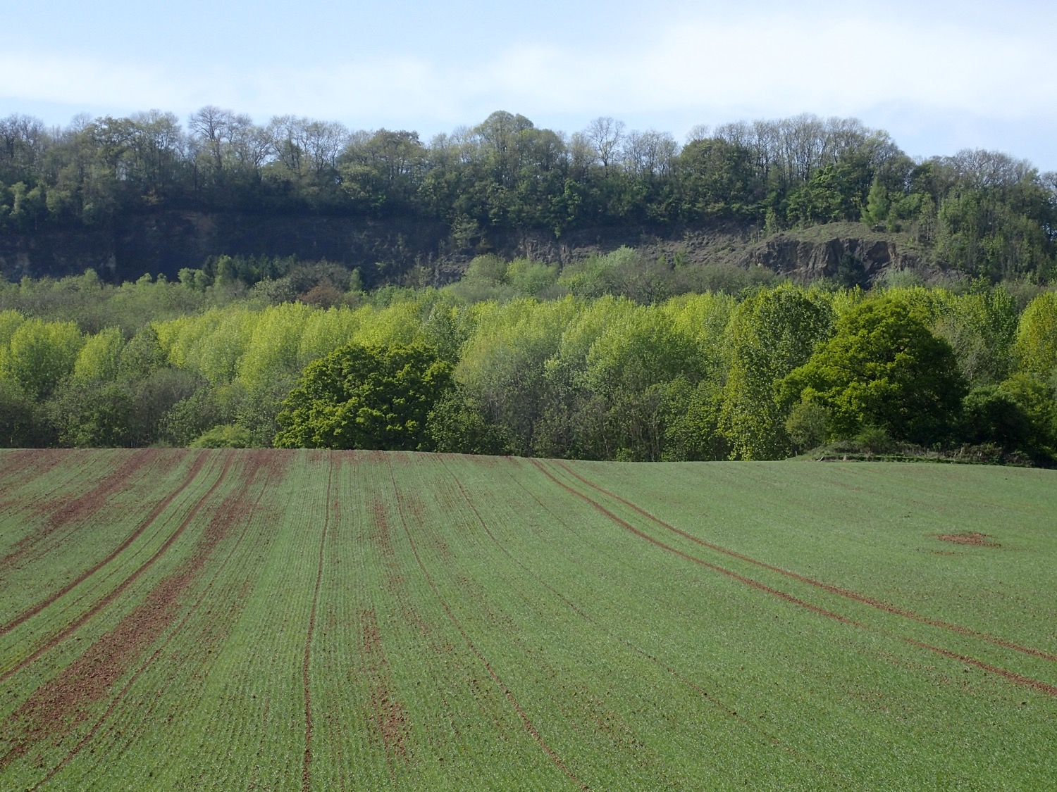 placeholder image-sq