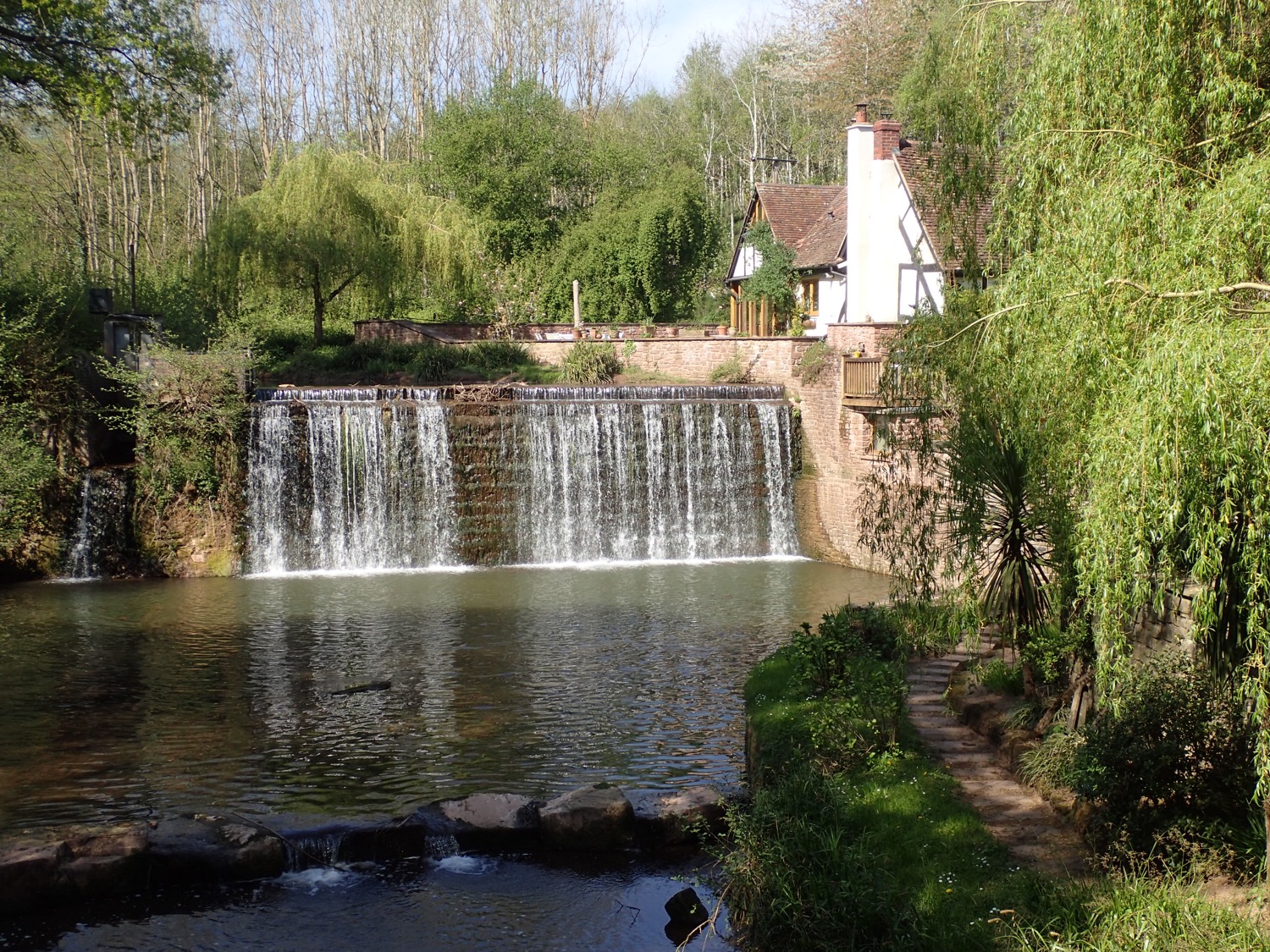 placeholder image-sq