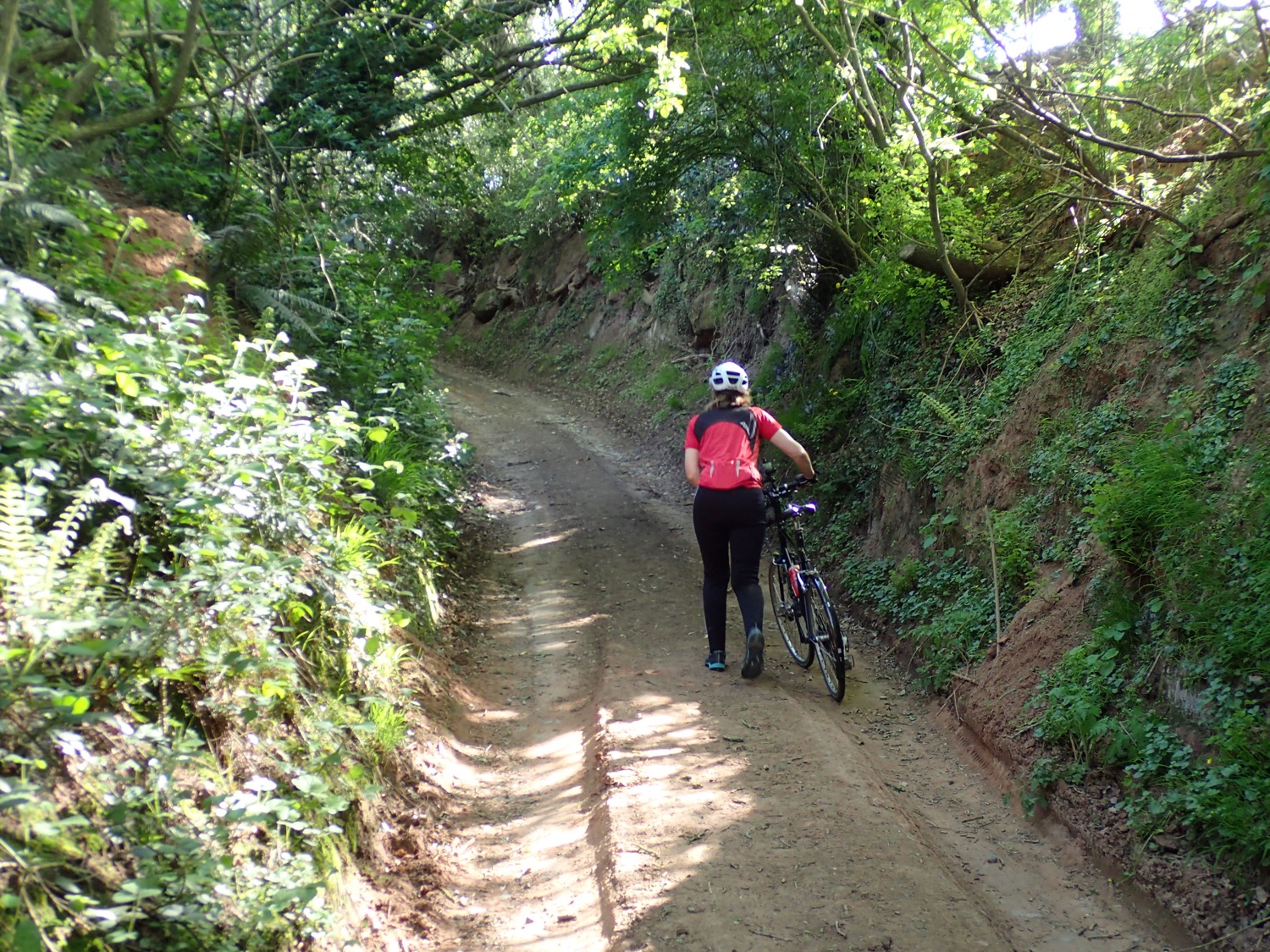 placeholder image-sq