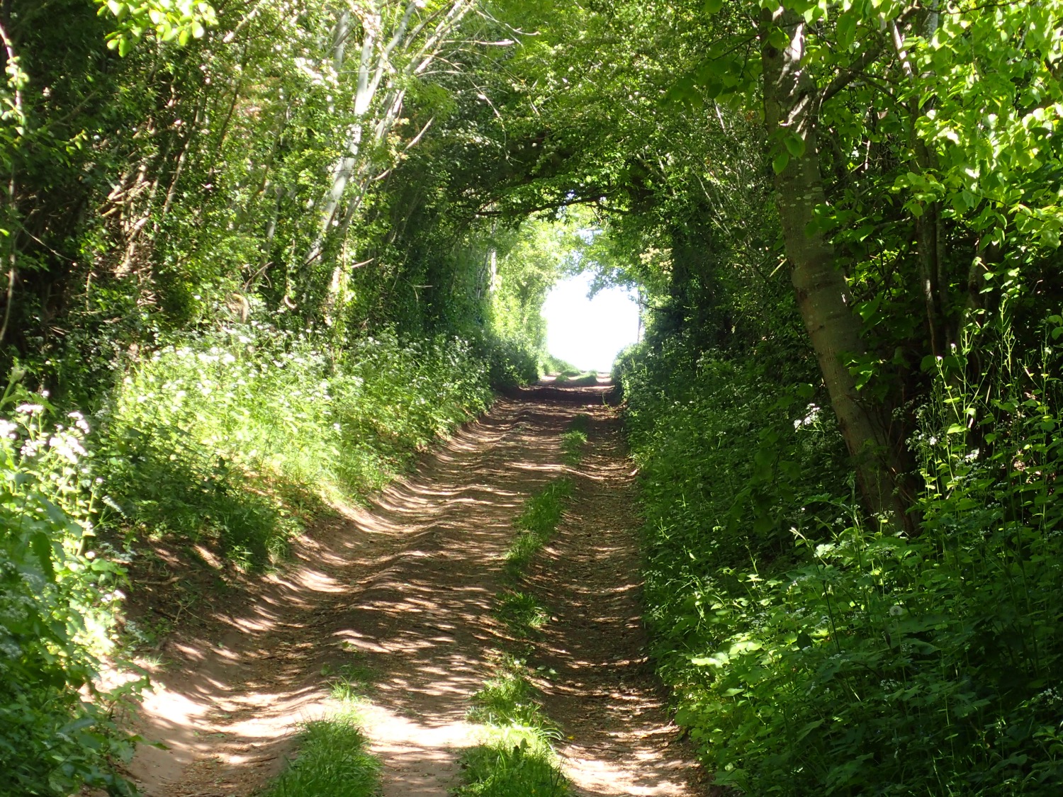 placeholder image-sq