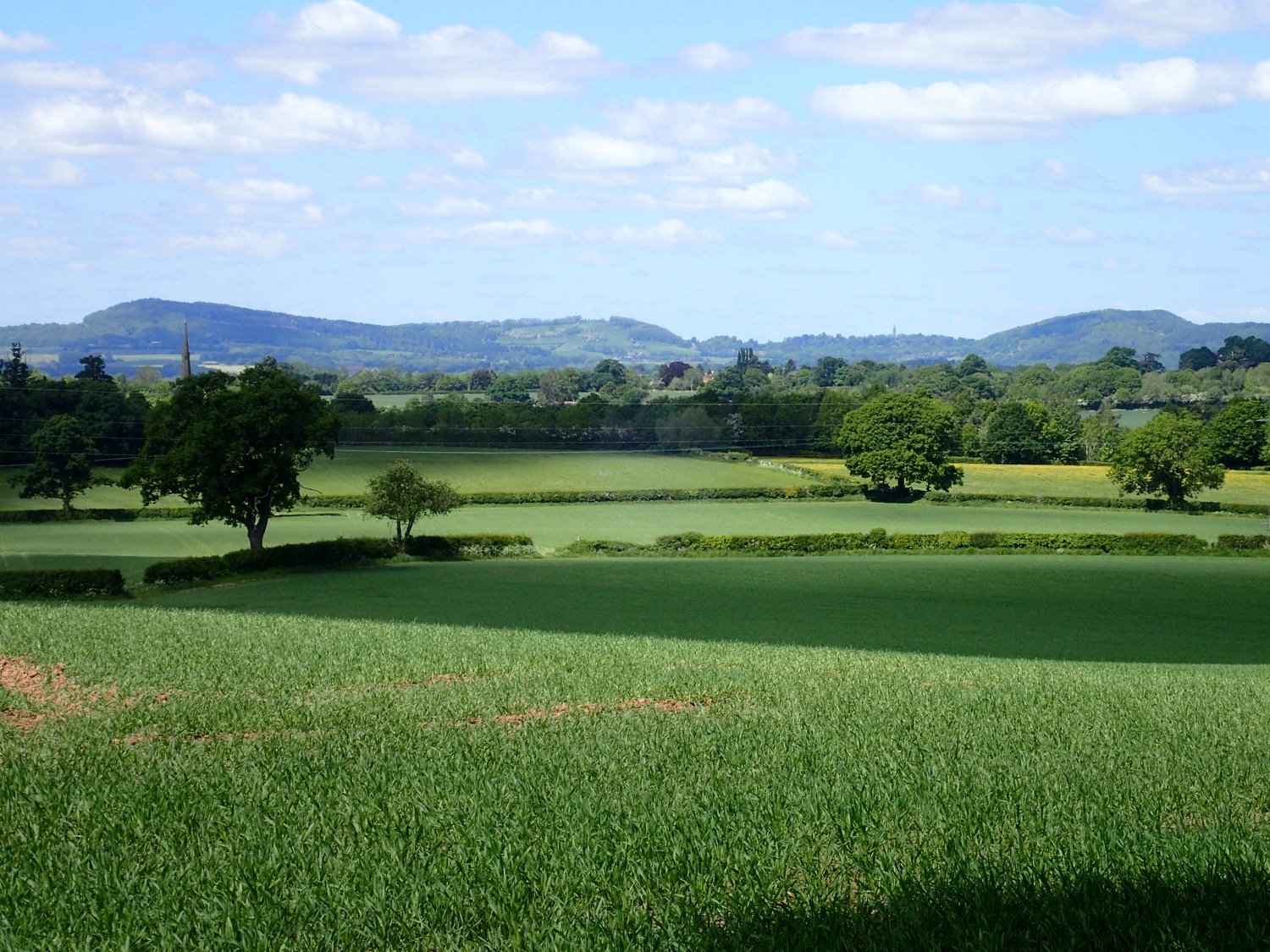 placeholder image-sq