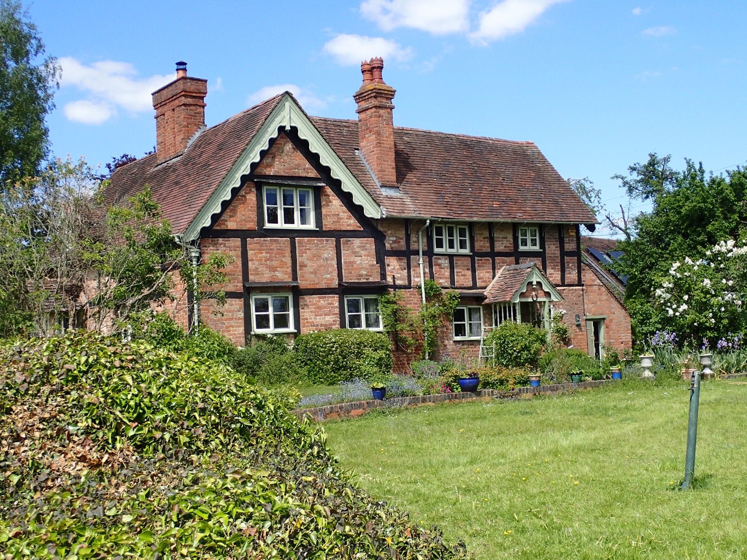 placeholder image-sq