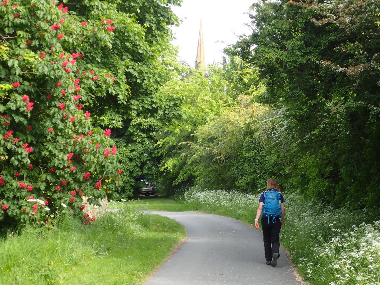 placeholder image-sq